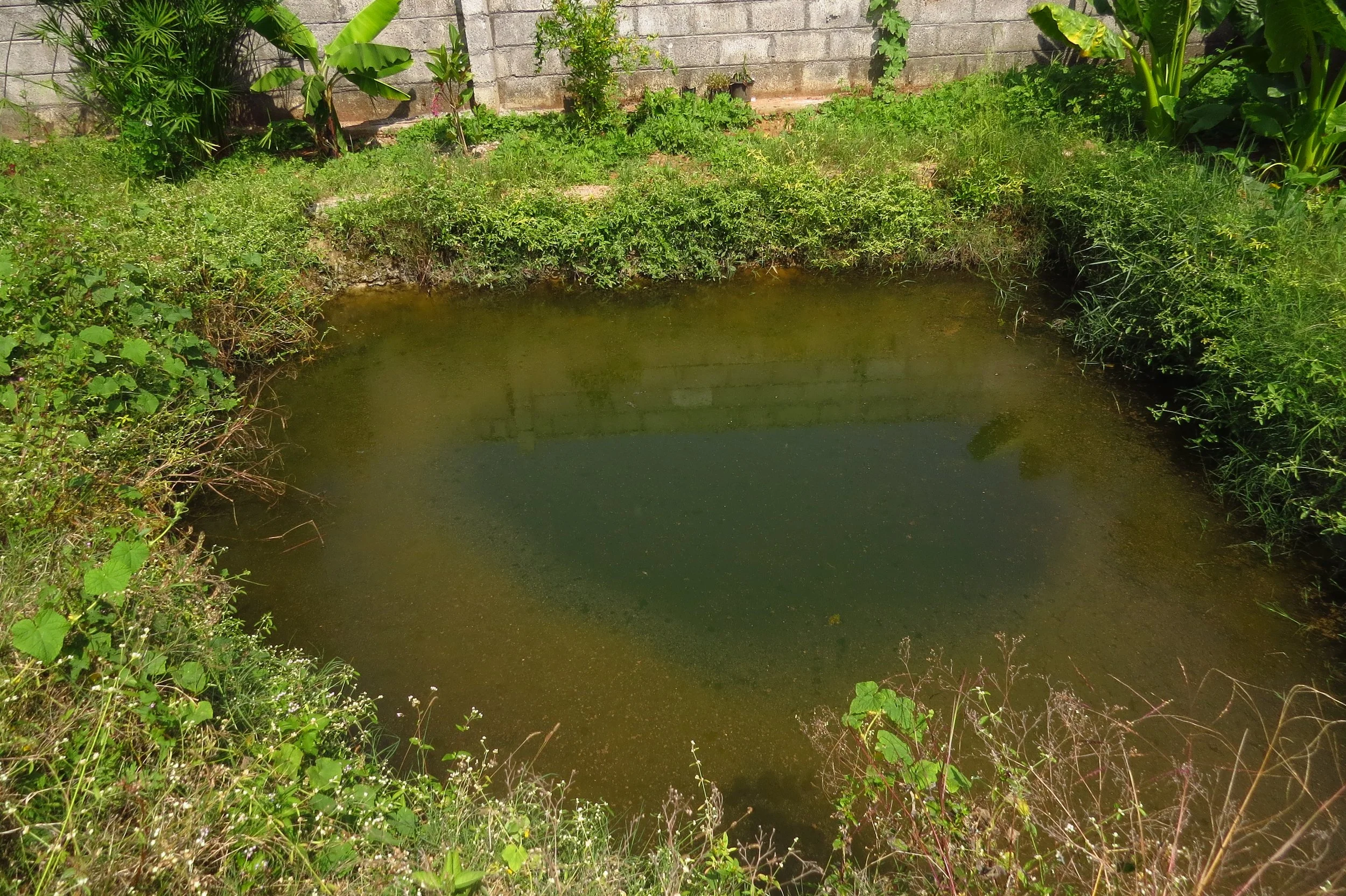 Pond - one rain post implementation