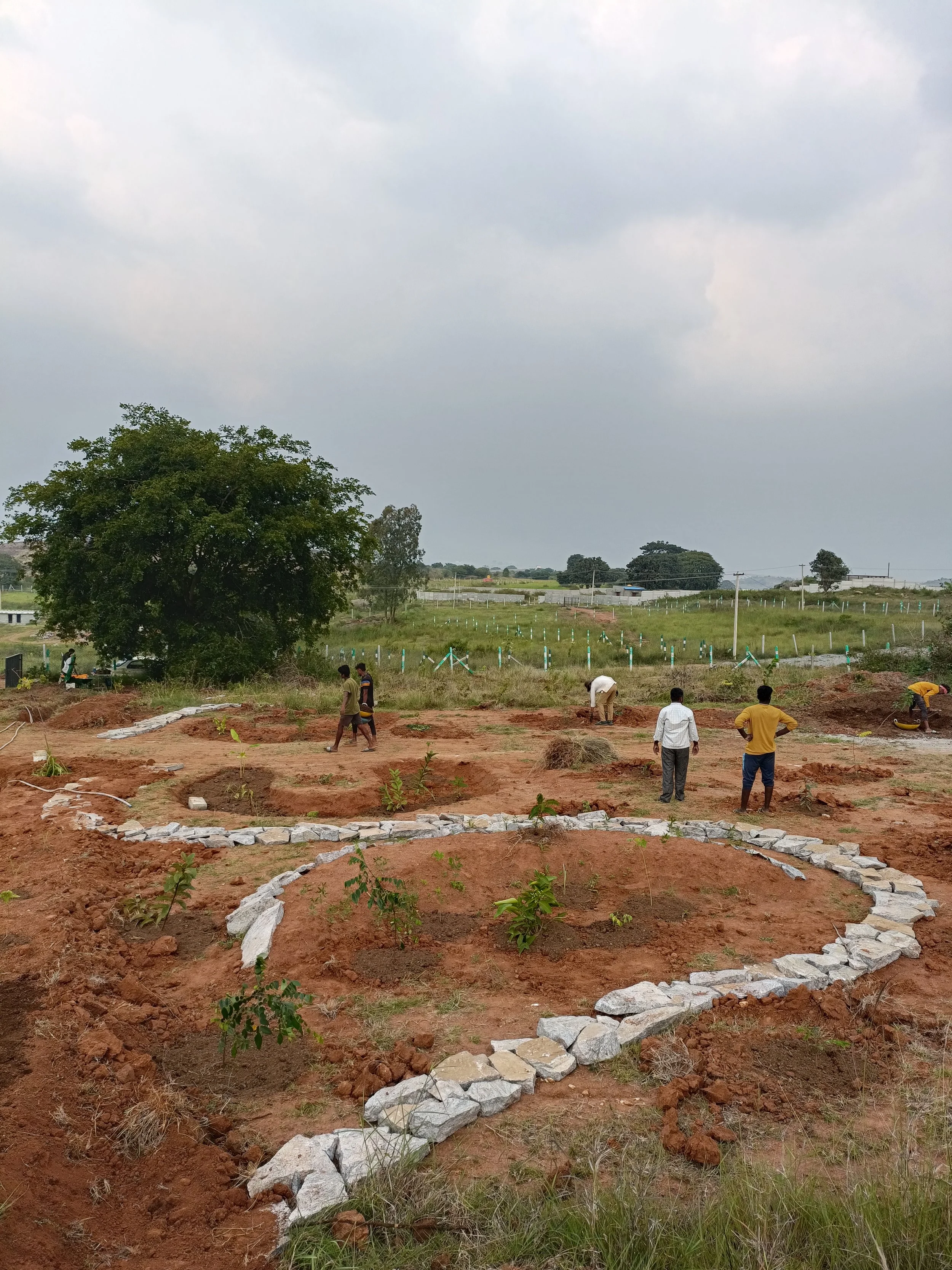Food forest and pathways (implemented by Theertha)