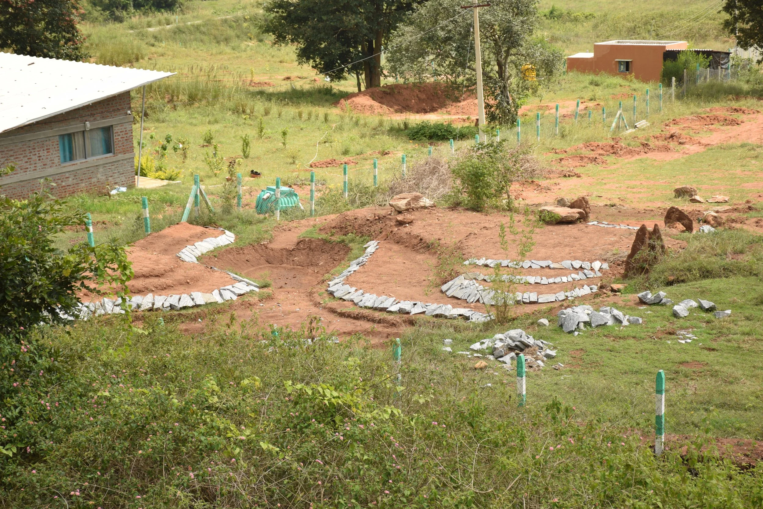 Pond 2B - irrigation pond (designed and implemented by Sanjana)