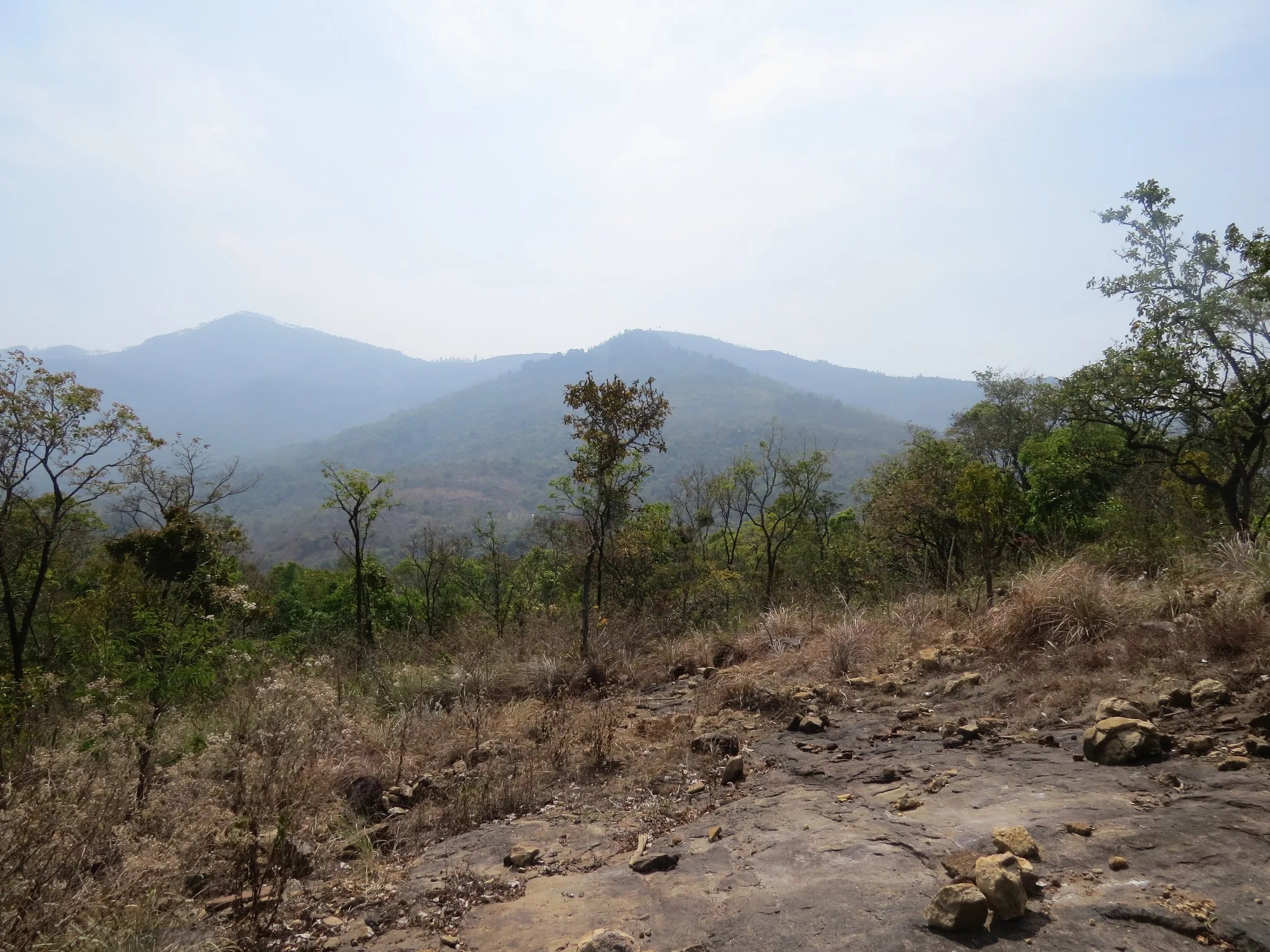 View from a paarai, of the Palani Hills
