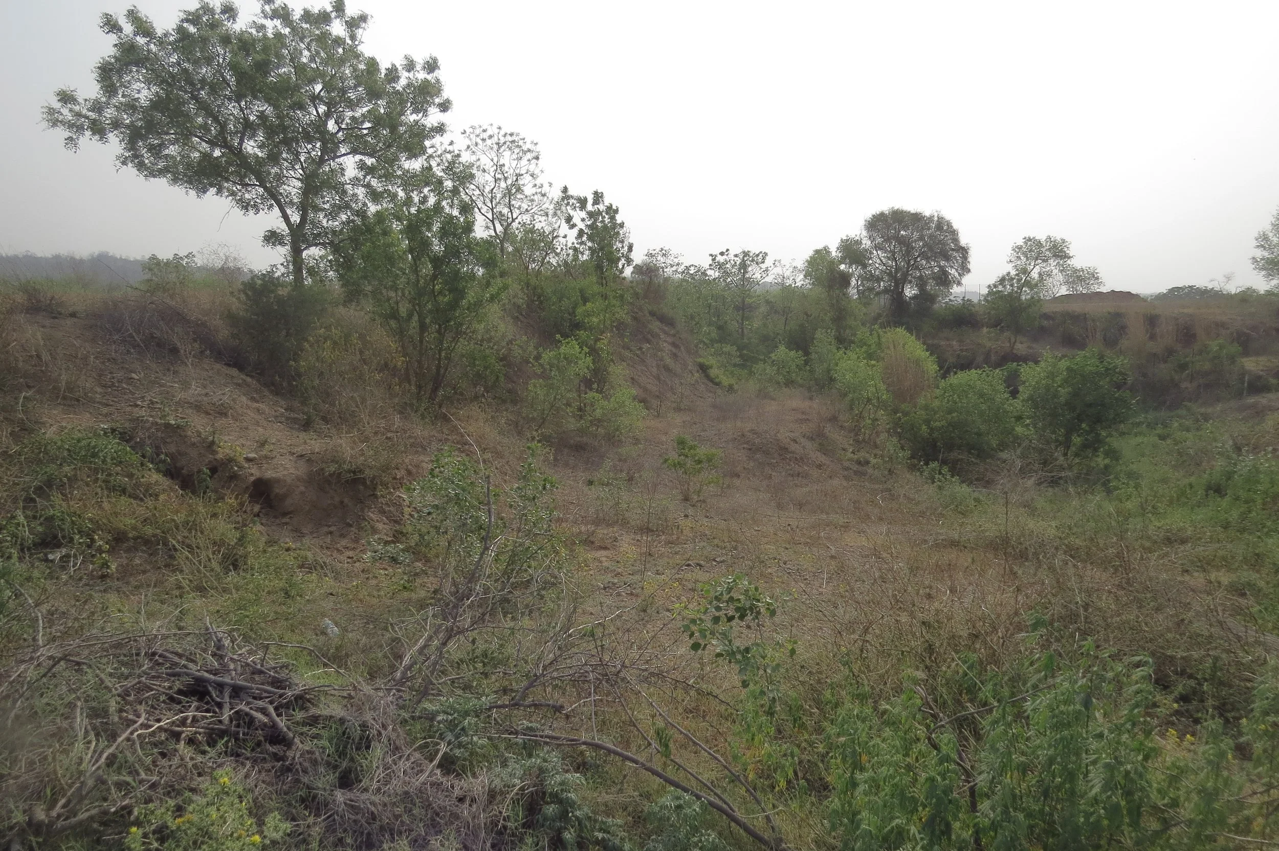 View of site