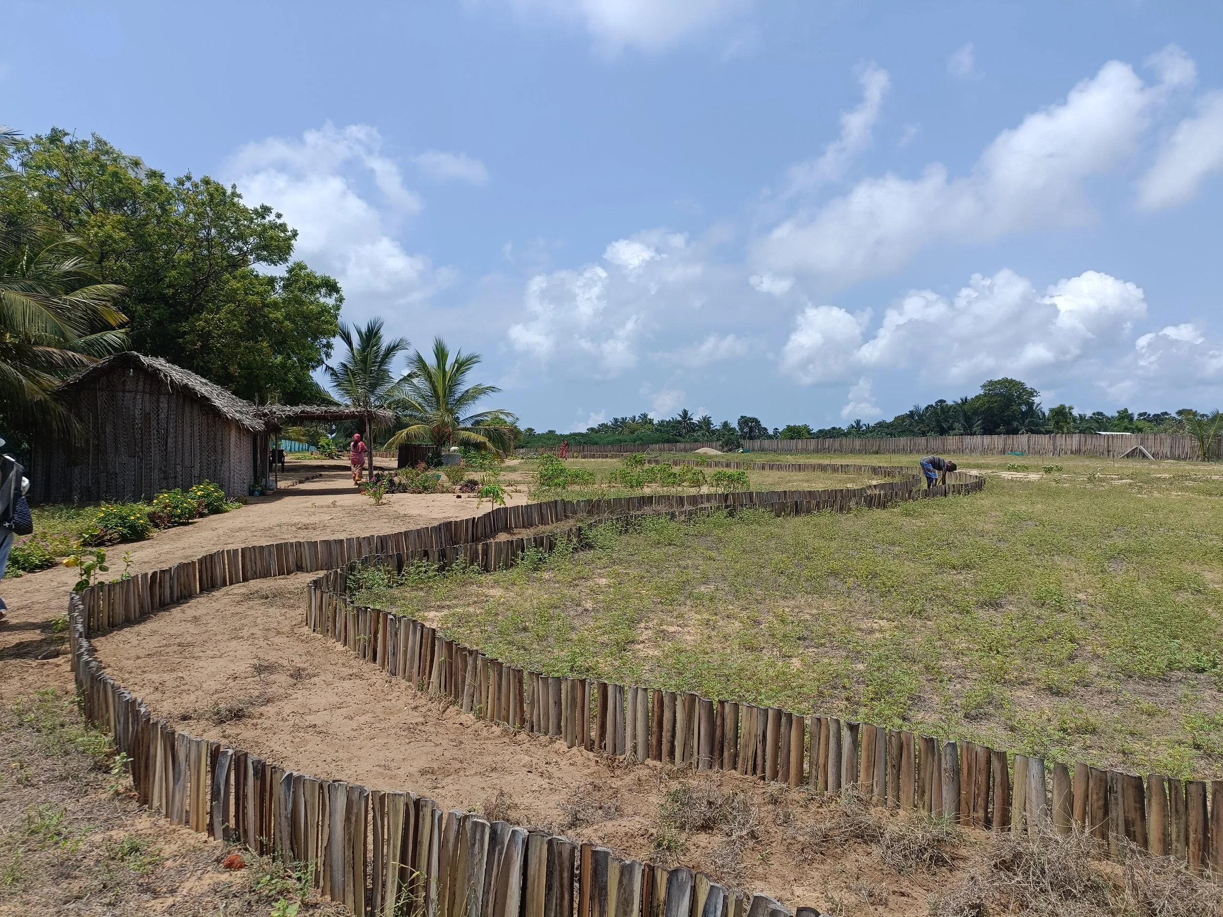 Site pathways + view of site facing South