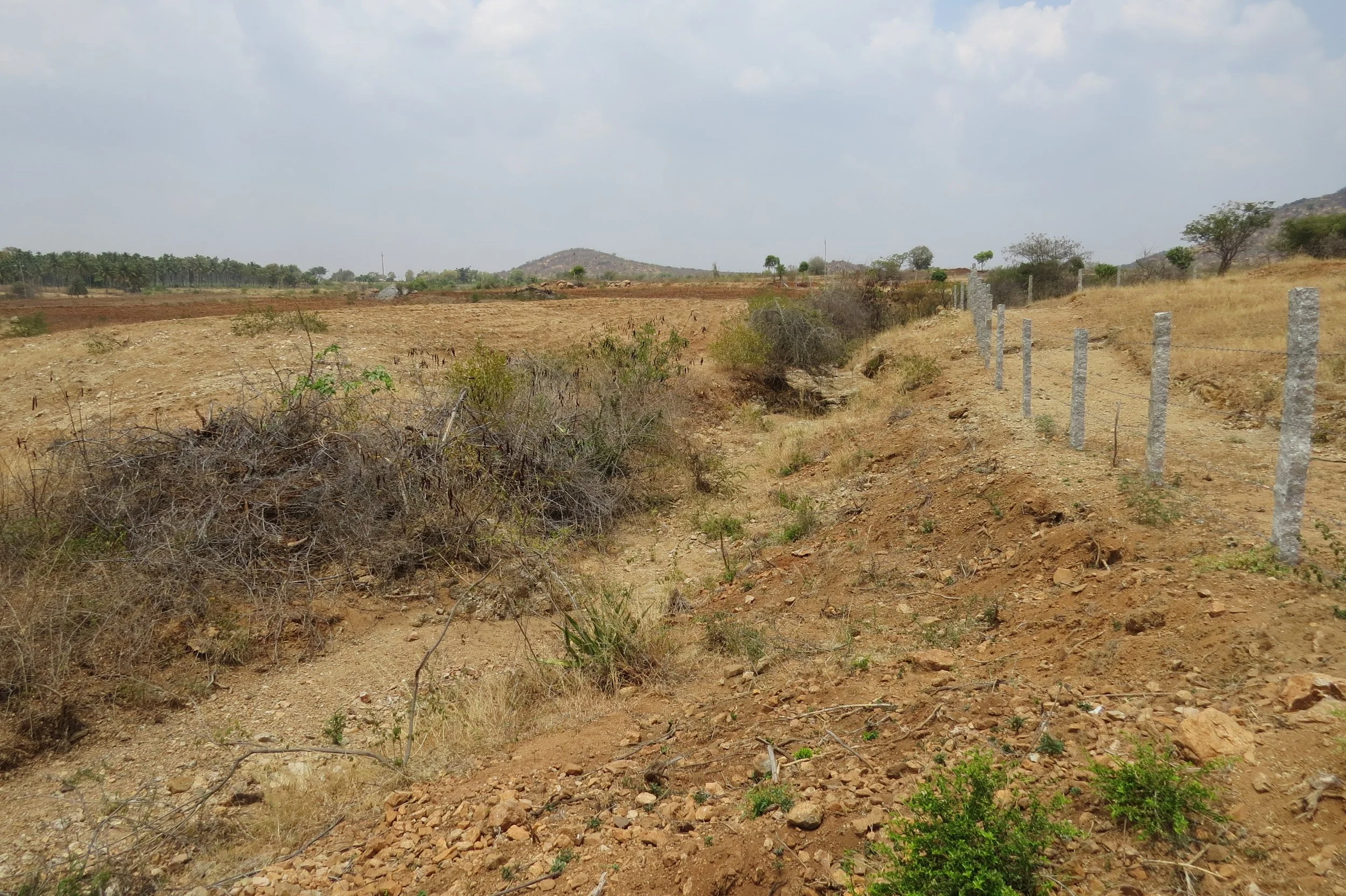 Stream abutting the land