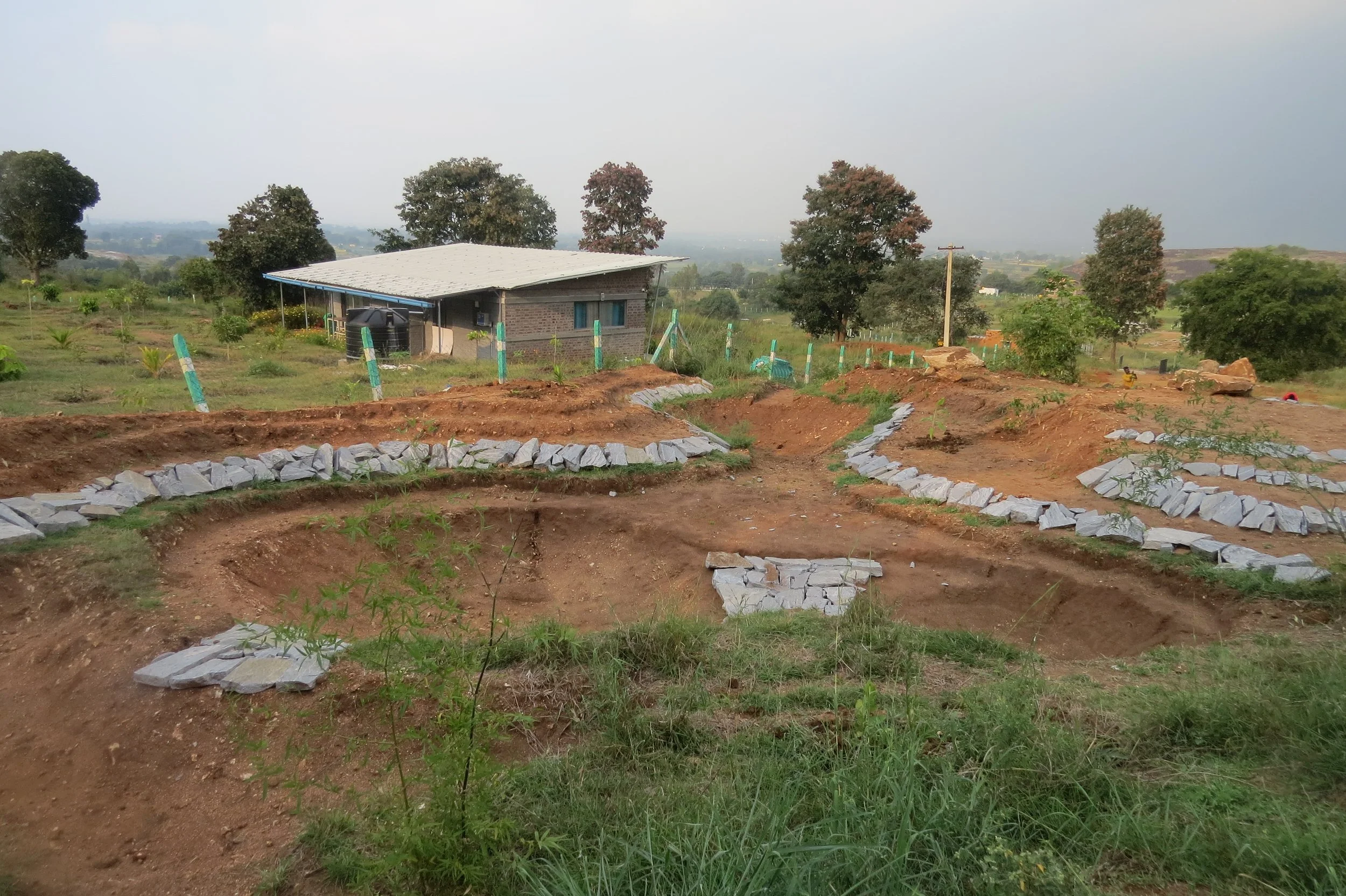Pond 2B - irrigation pond (designed and implemented by Sanjana)