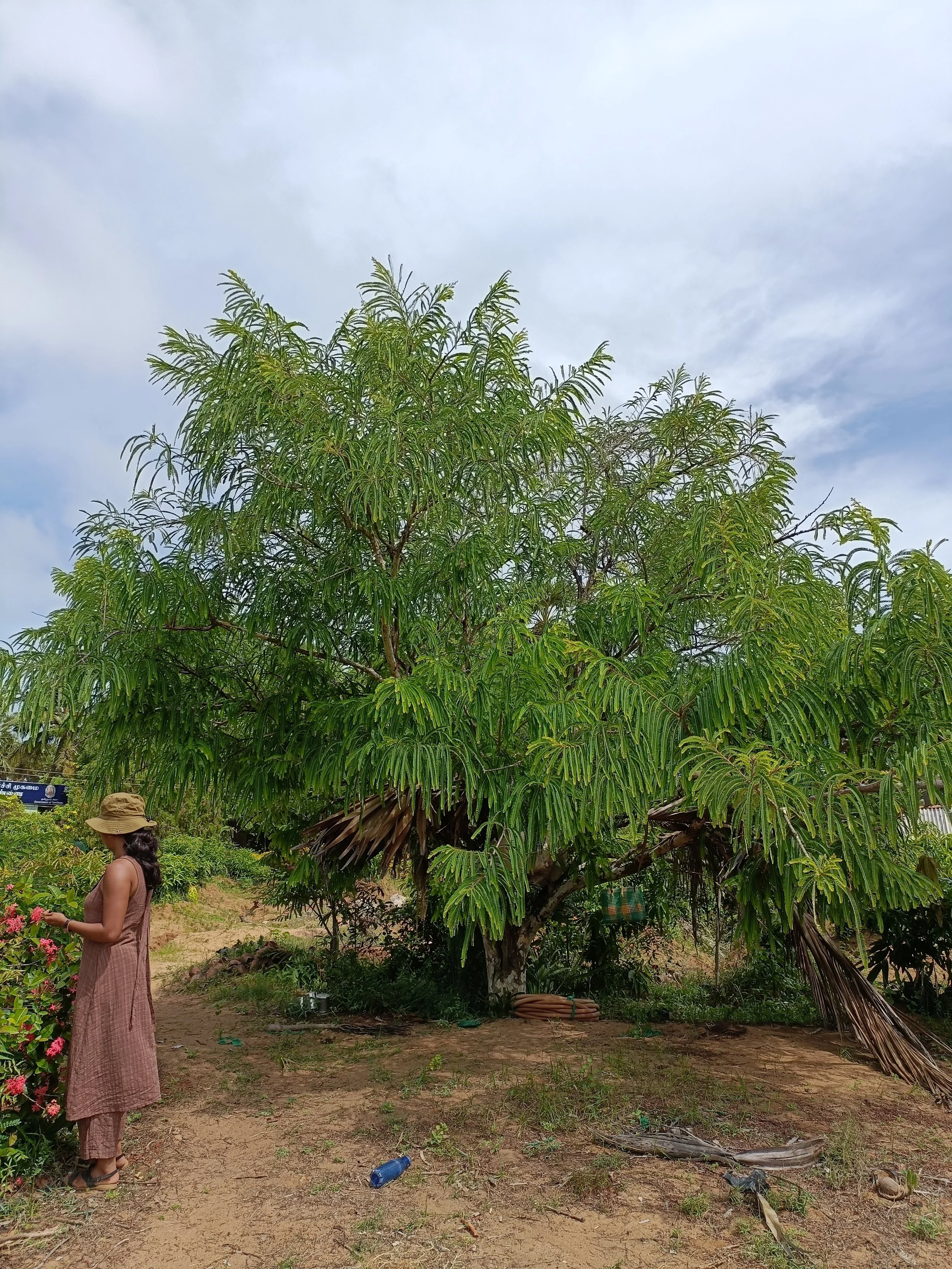 Visit to nearby nursery to understand region-appropriate fruit species
