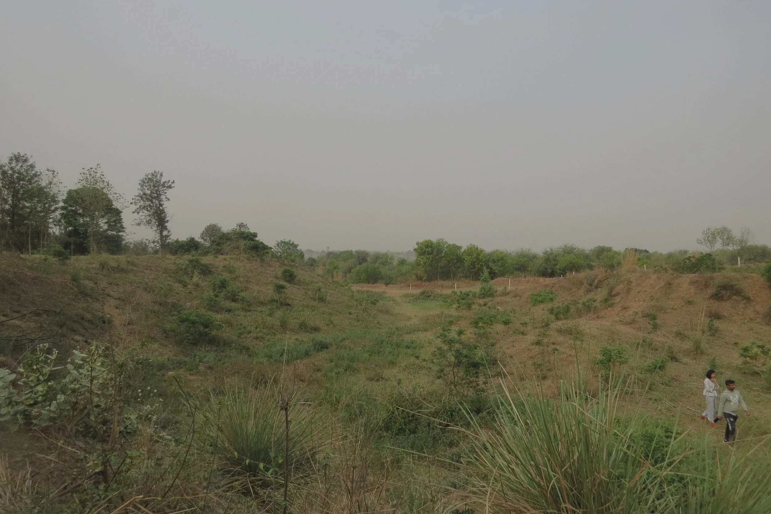 View of stream and site from the North