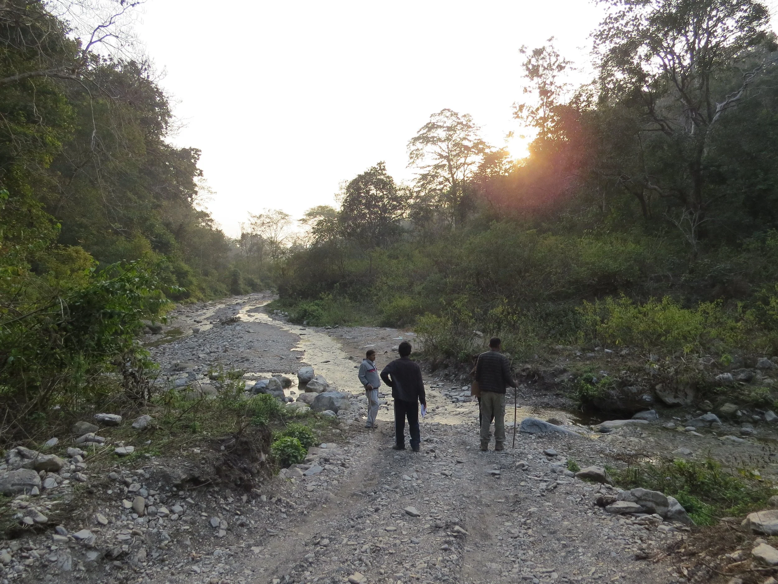 Stream downslope of site