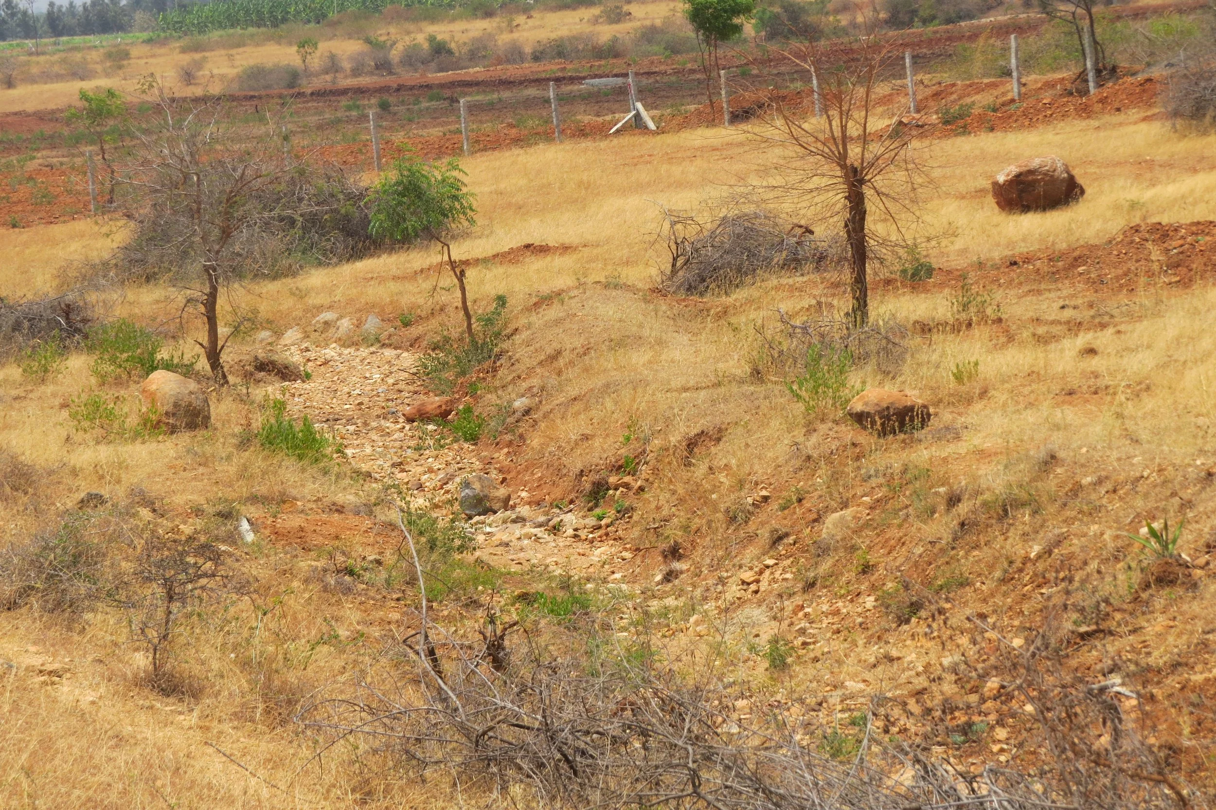 Stream abutting the land