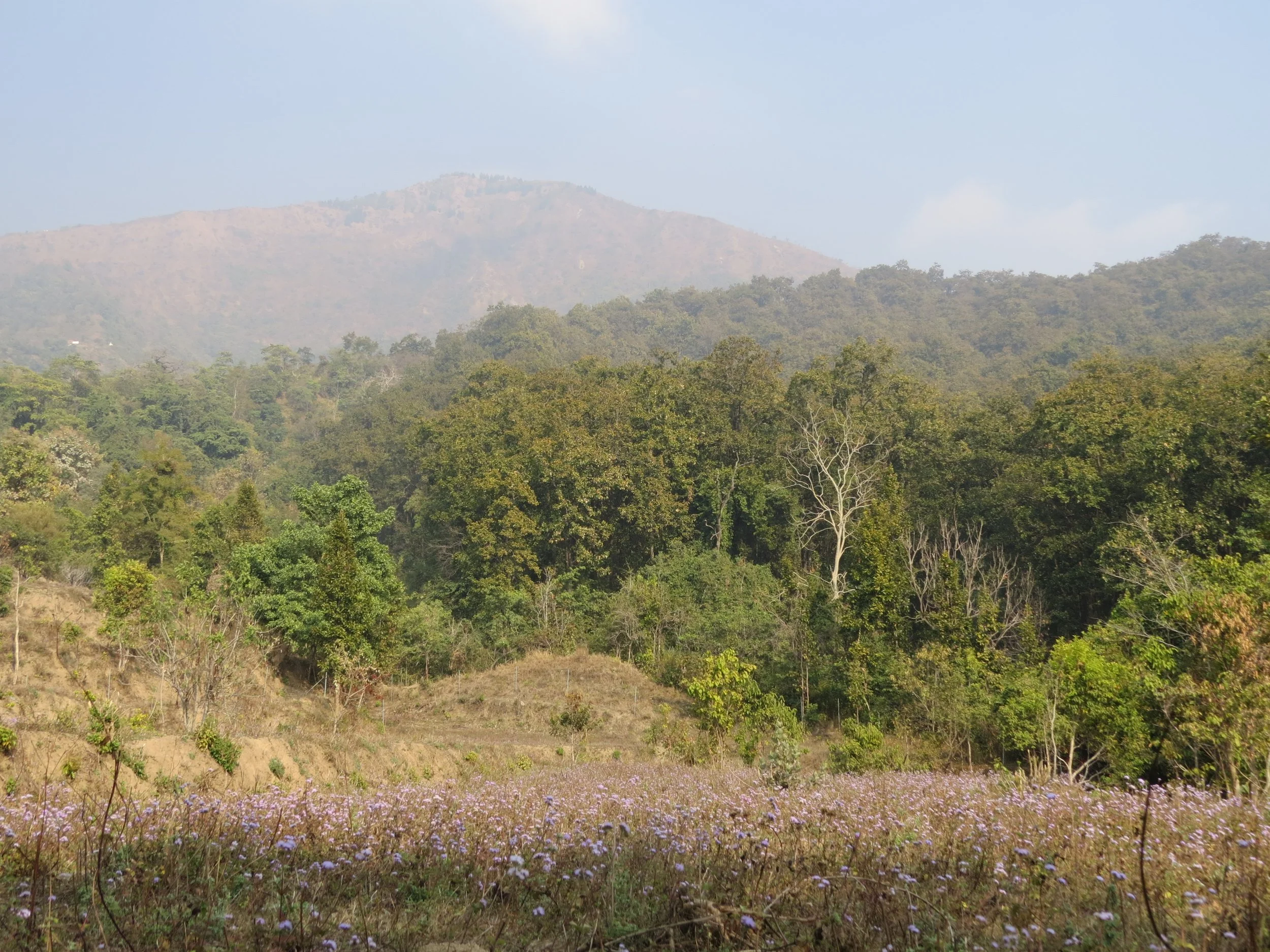 View of site