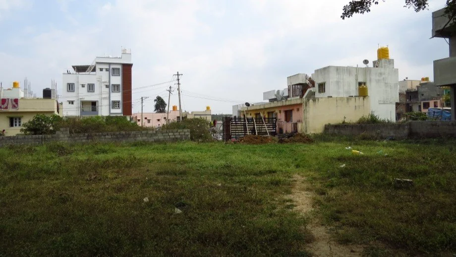 2 - Site