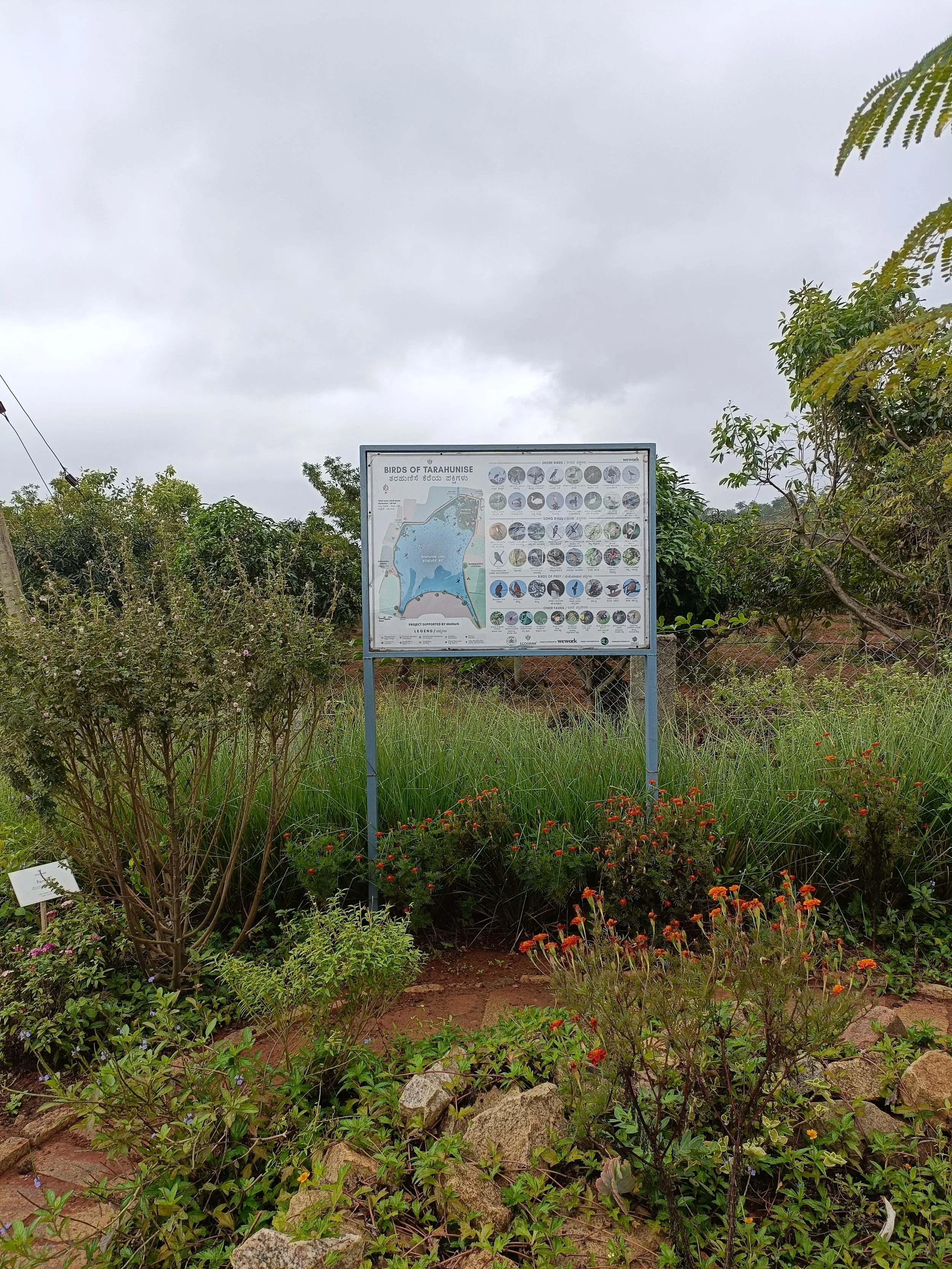 A signboard titled "Birds of Tarahunse" with illustrations of various bird species, situated in a lush garden area with greenery and flowering plants, under a cloudy sky.
