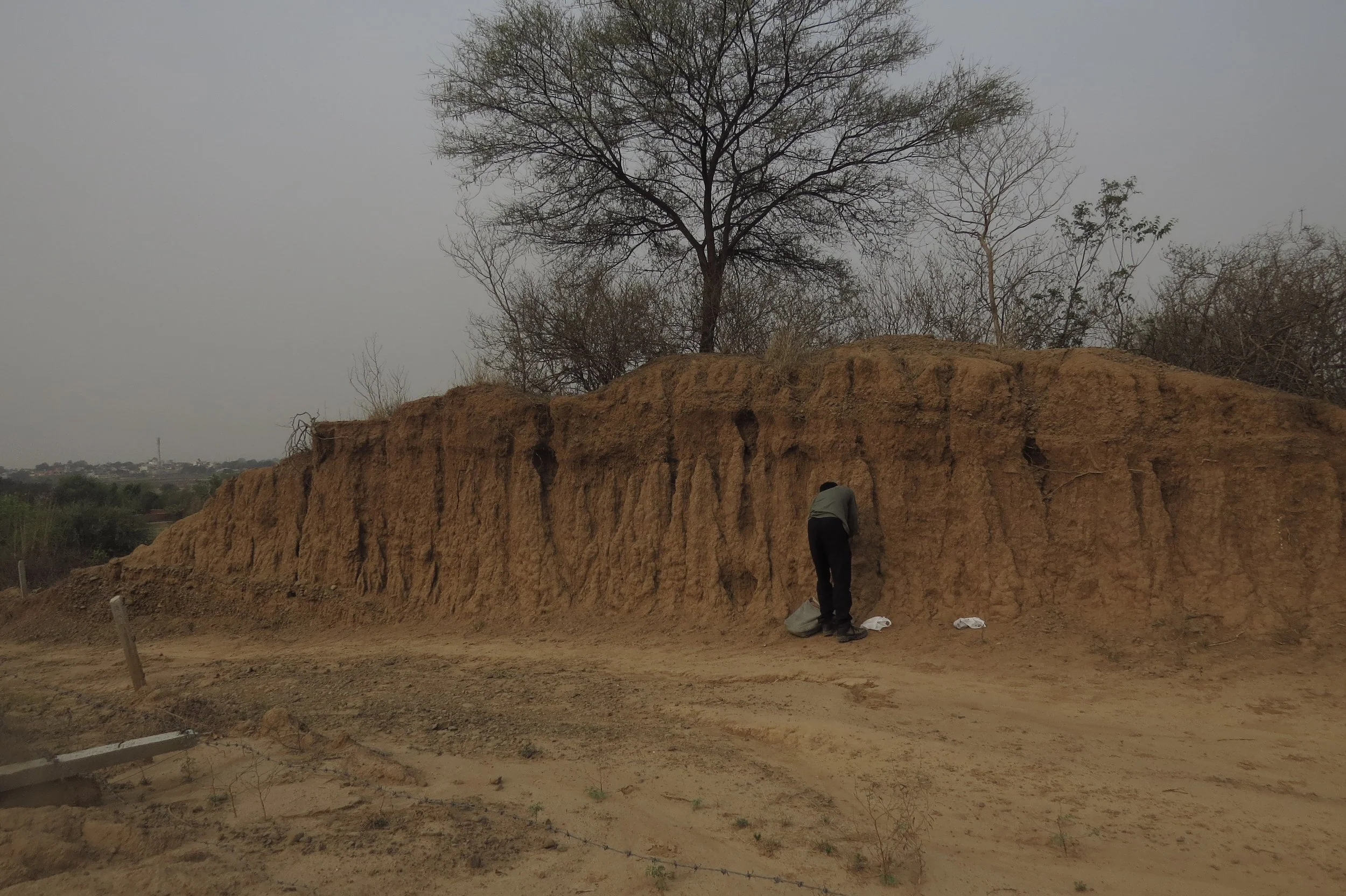 Embankment along site's access road