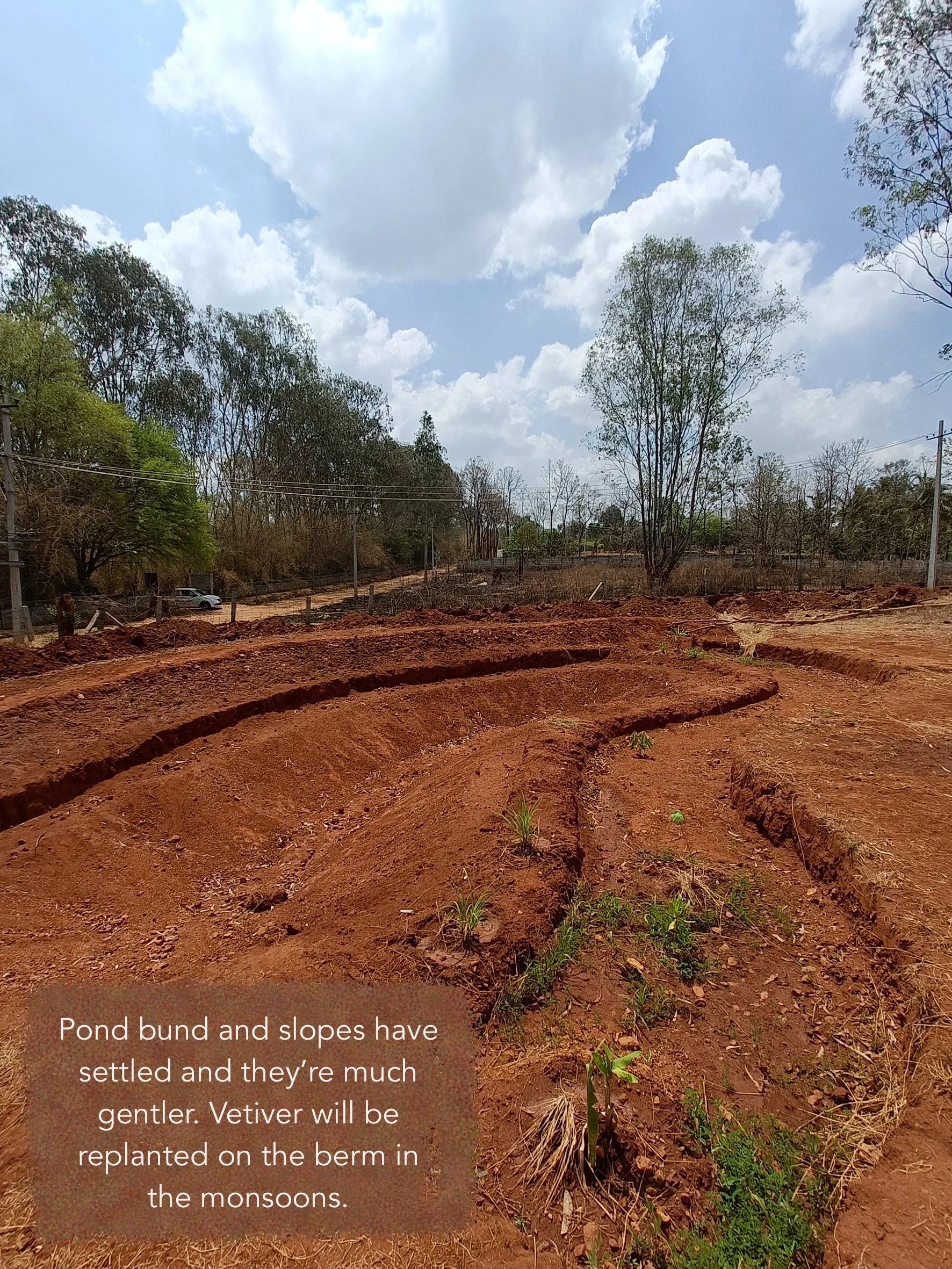 Pond 3 months post implementation