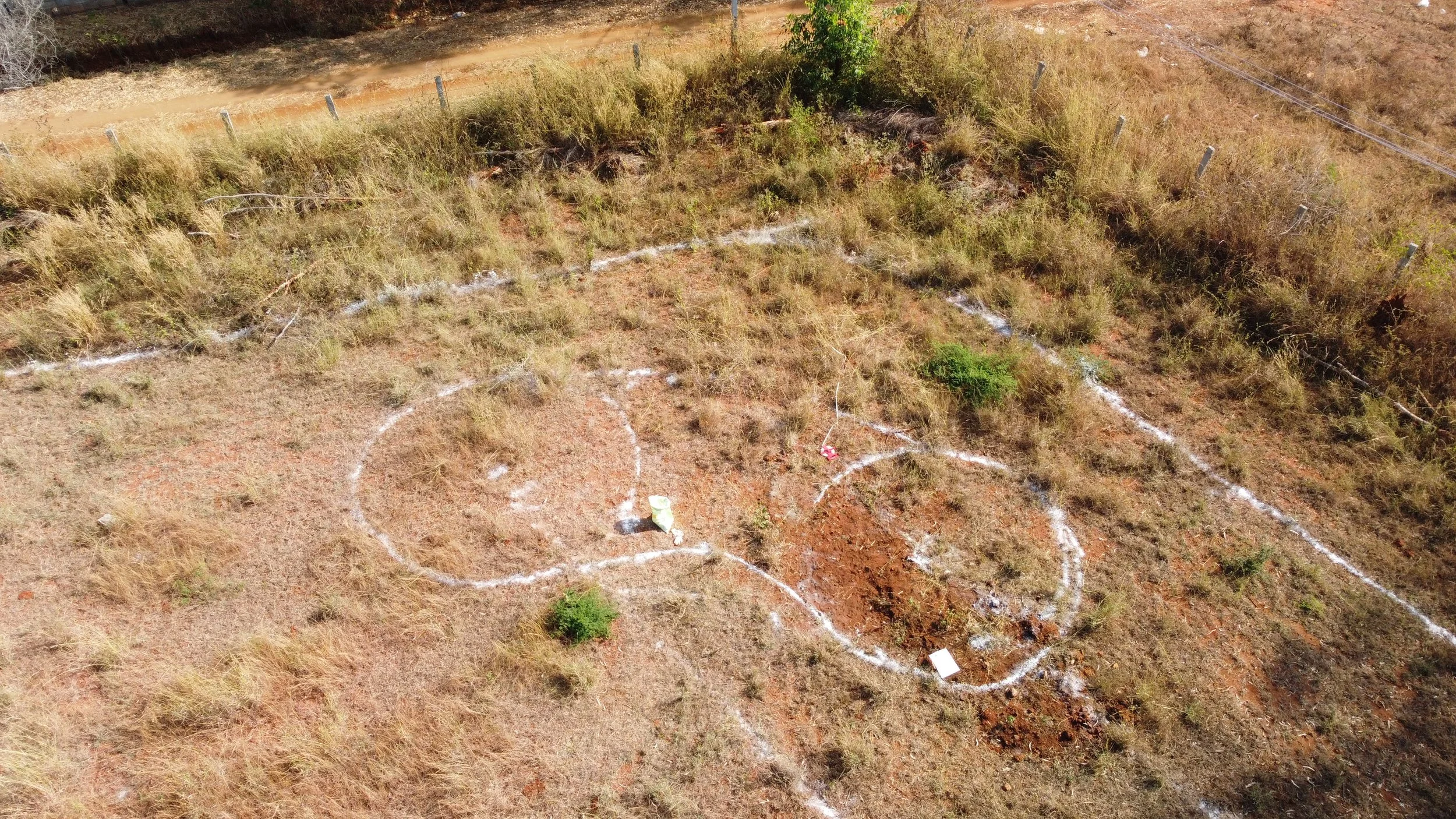Pond marking [drone shot by Nikhil Rodrigues]