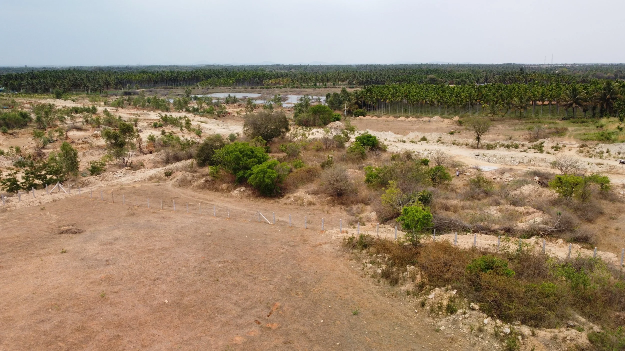 View of gomala land on site, with subsoil dumped, but with some native trees and shrubs [drone shots by Nikhil Rodrigues]