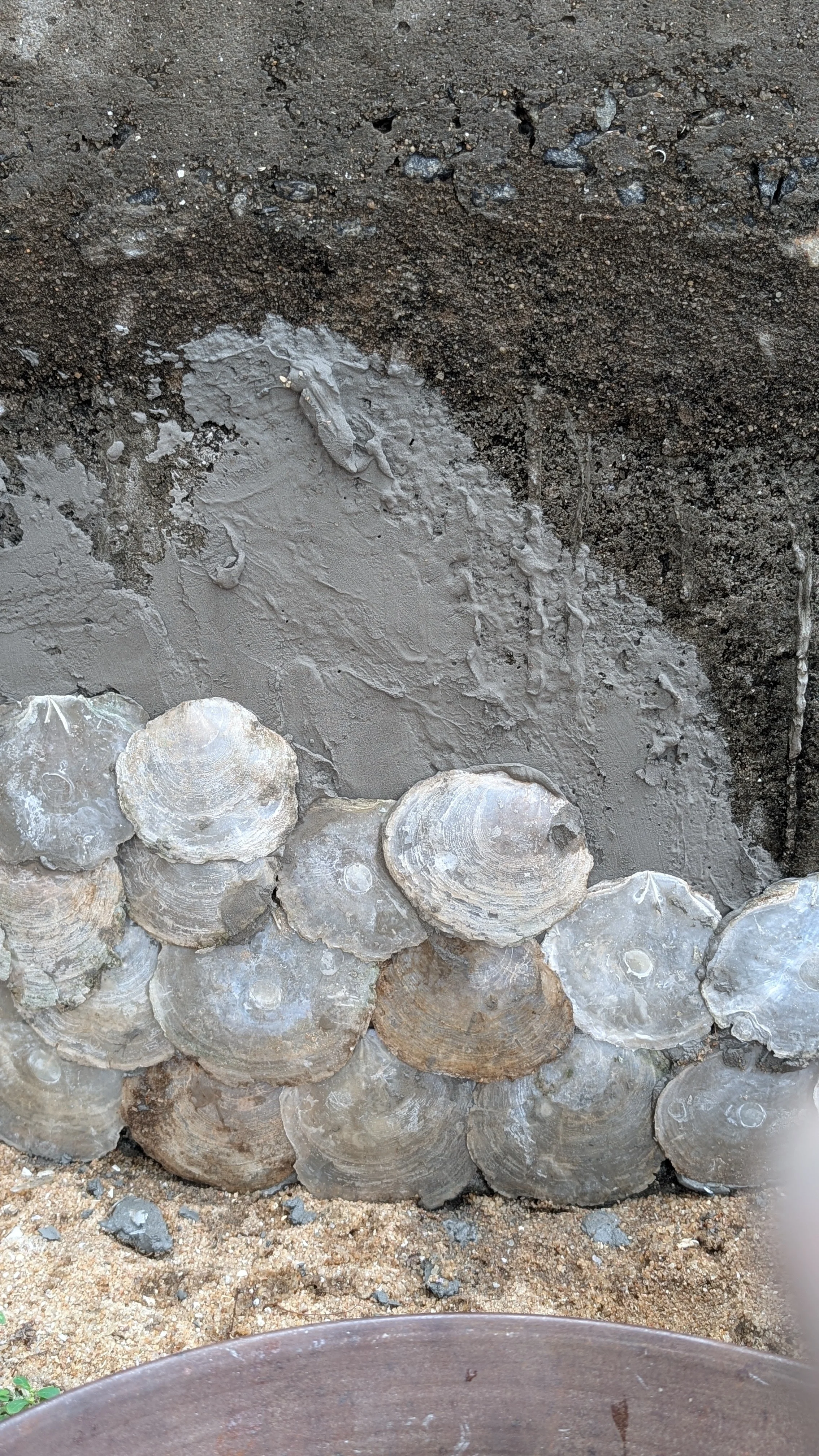 Cladding of open well (designed by Sanjana, implemented by Joshua and Gautam, with farm staff) [photo by Jananee Mohan]