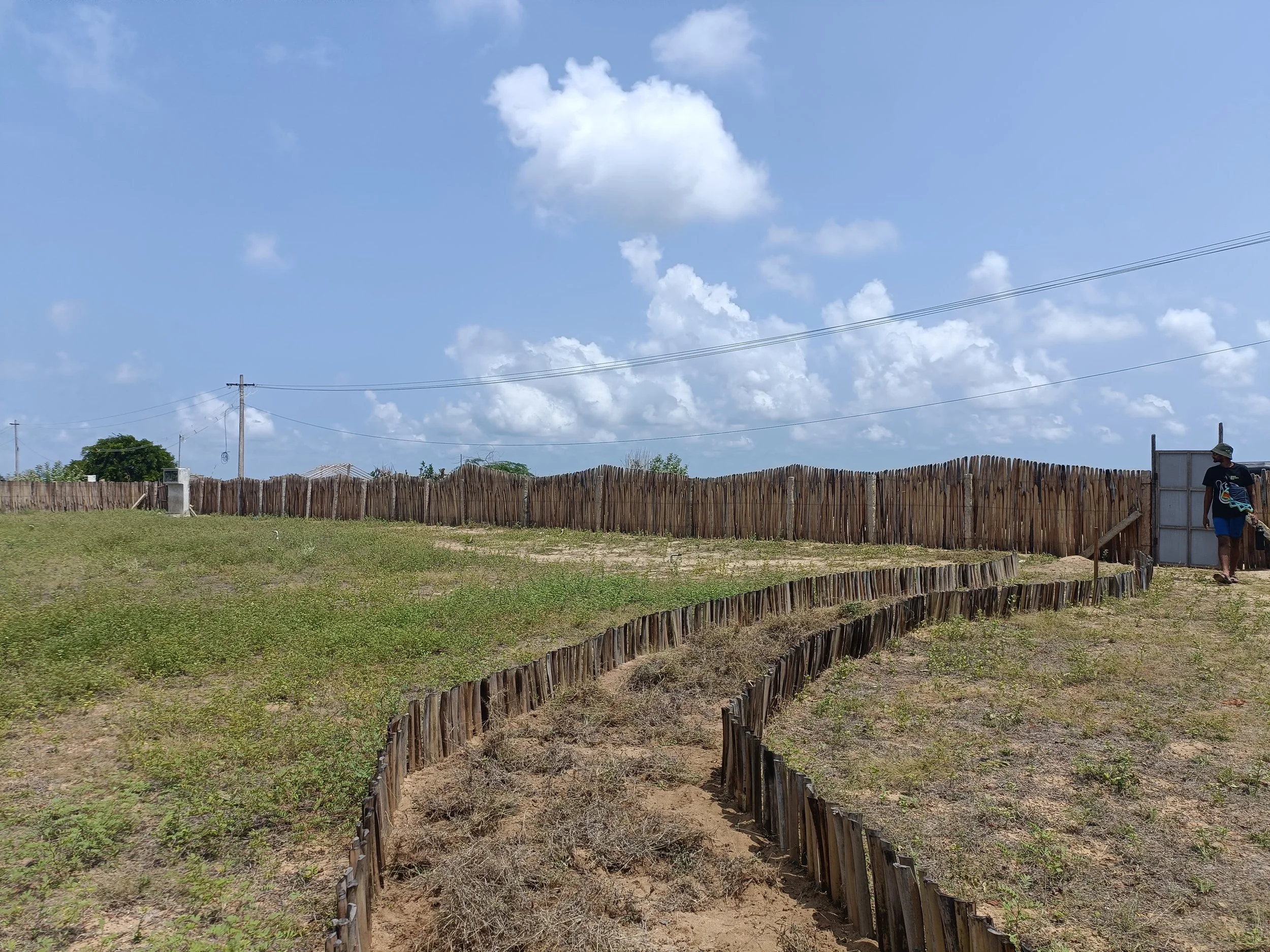 Site pathway and northern palmyra fence