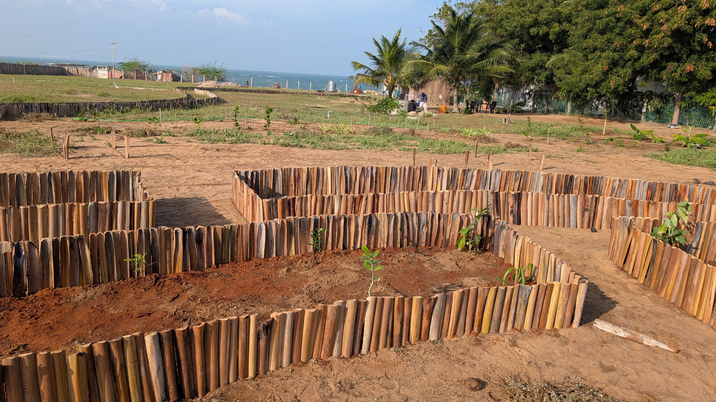Mandala garden beds [photo by Jananee Mohan]