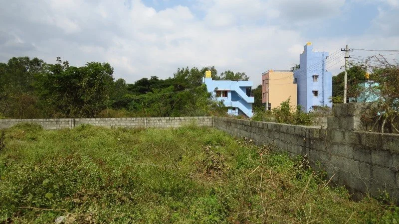1 - Site