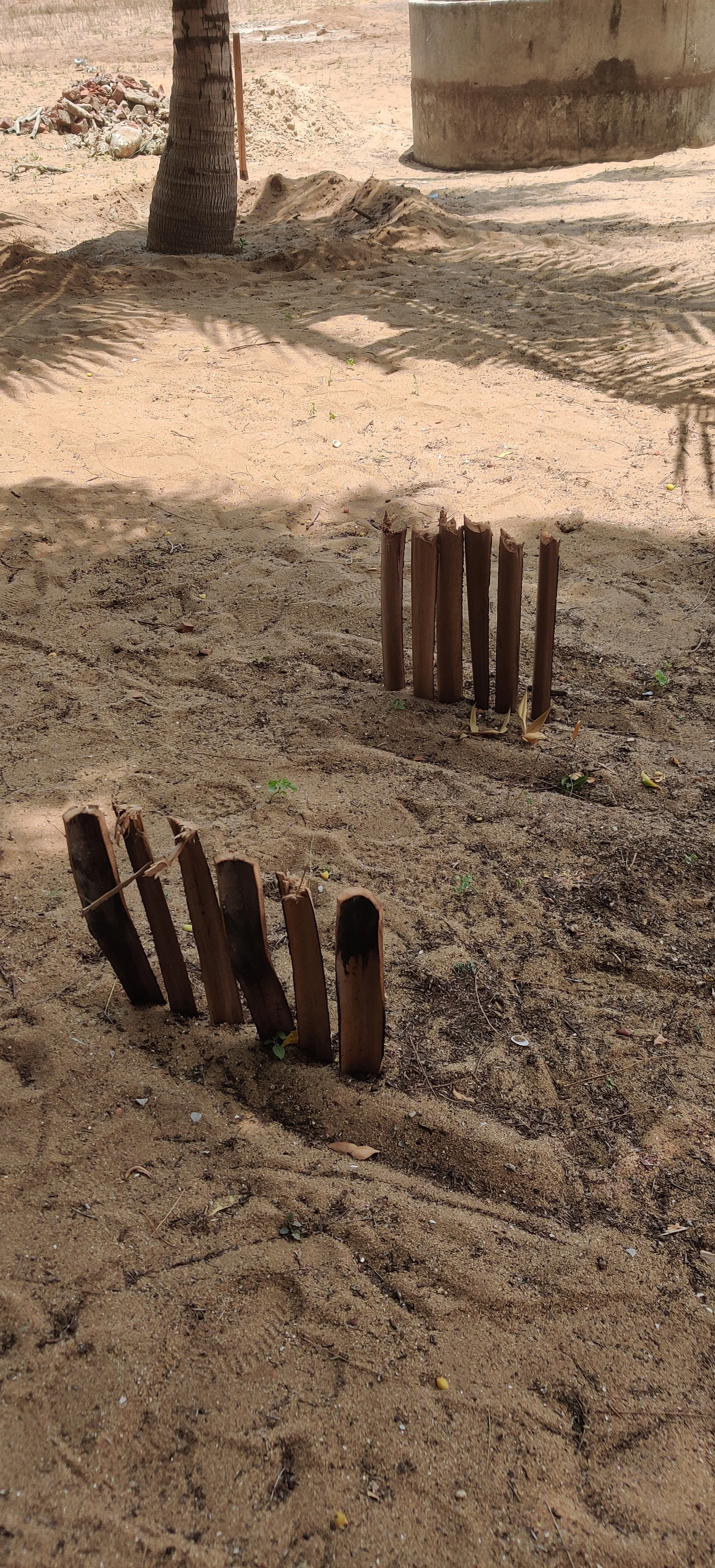 Testing palmyra palm pathway border technique [photo by Arun Kumar]