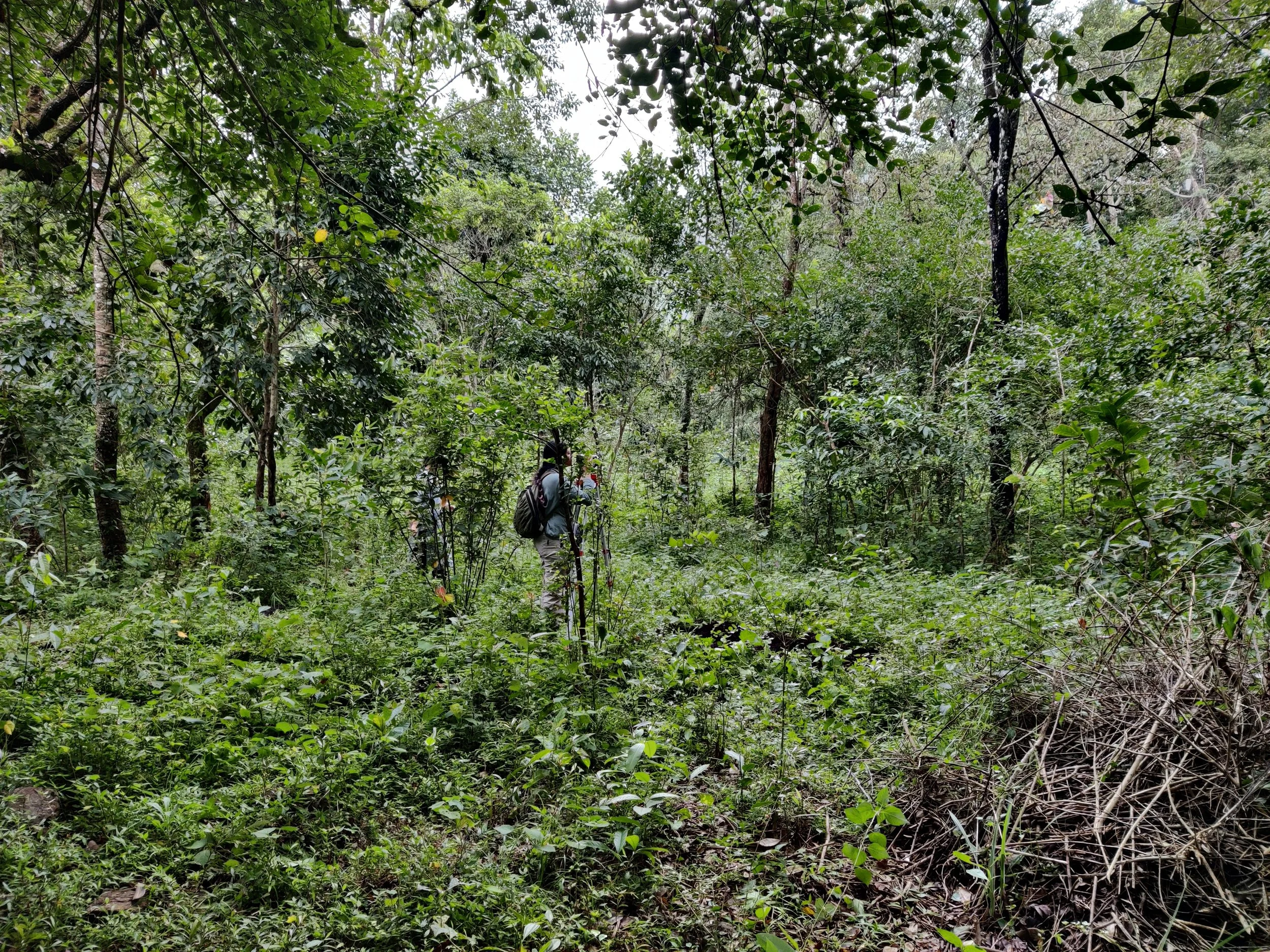 Site selection using auto level [photo by Theertha Ravindran]
