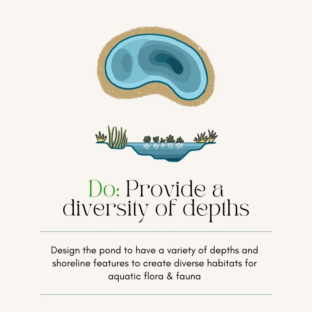 3 (1).jpg