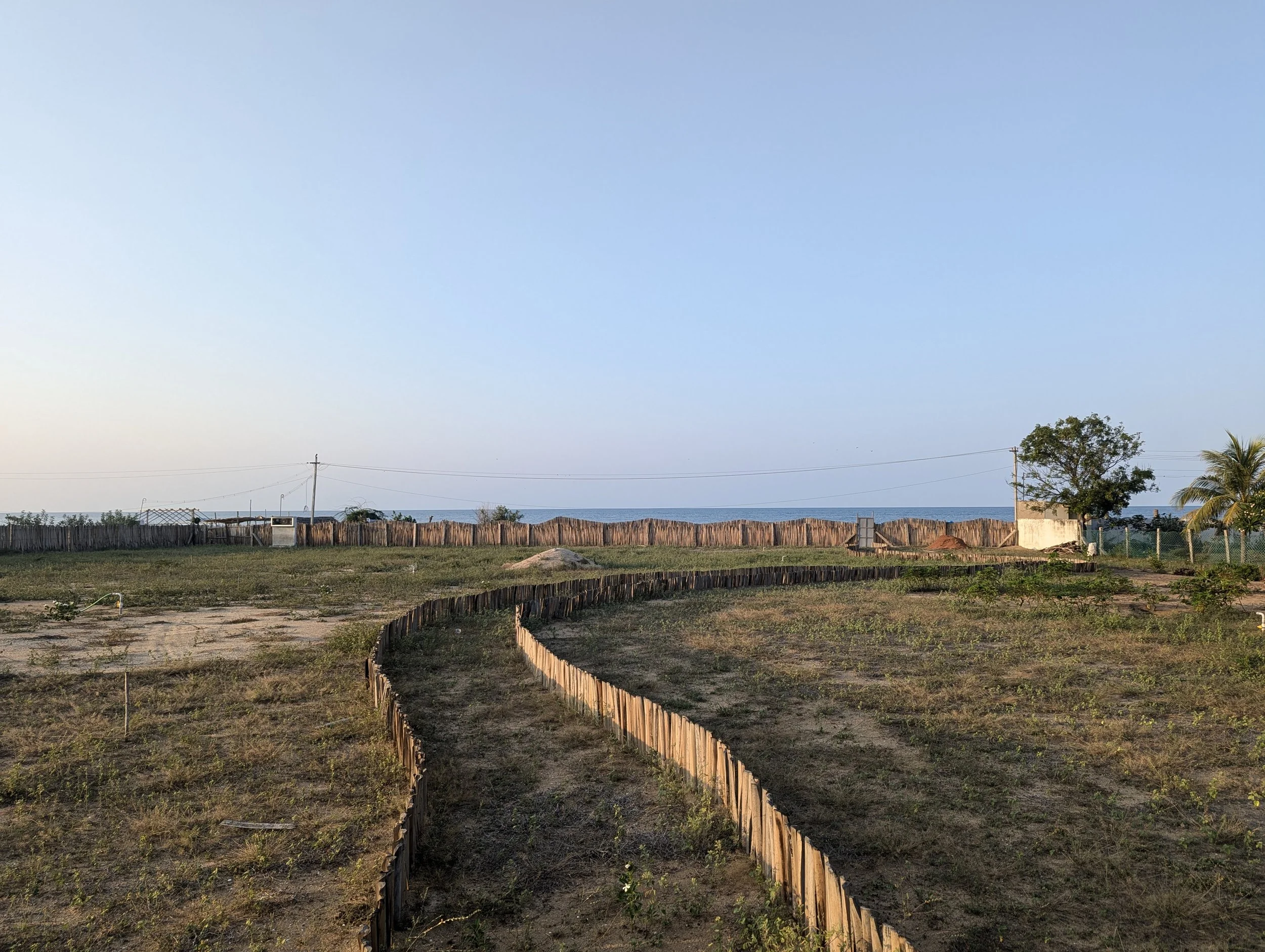 Site pathways, northern fence and Bay of Bengal [photo by Pankaj Singh]