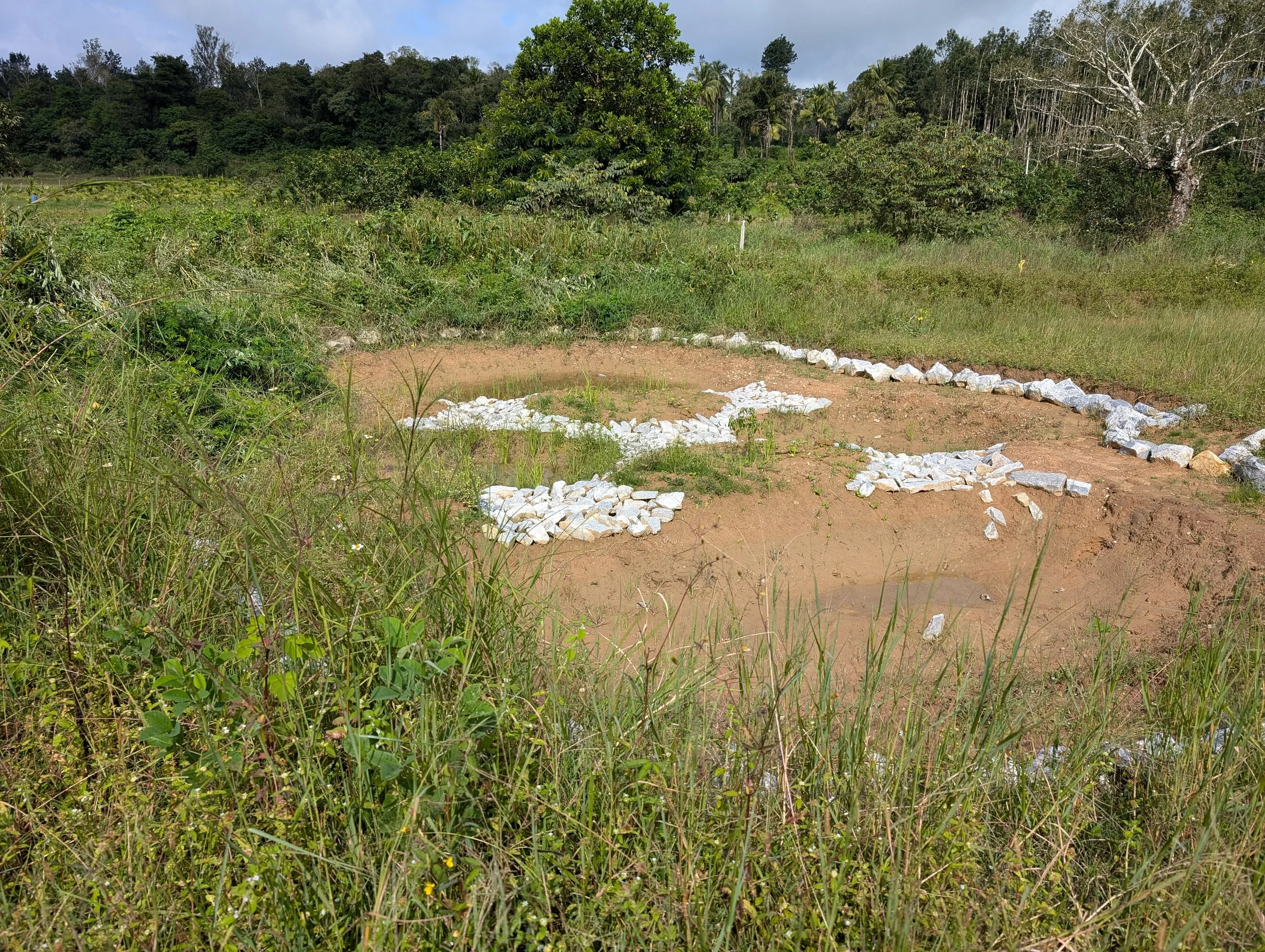 Pond 3 after a monsoon [photo by Theertha Ravindran]