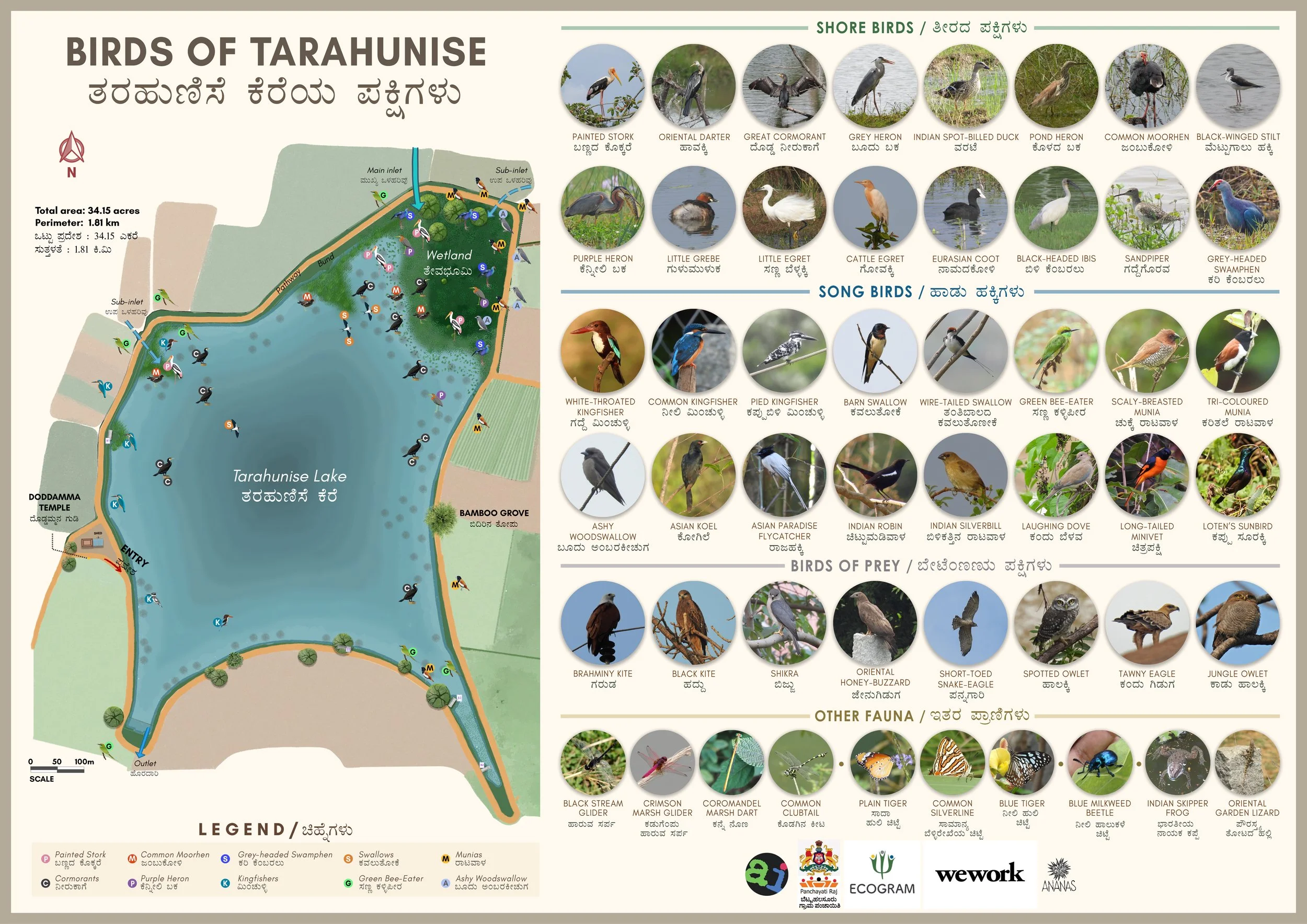 Map of Tarahunise Lake with bird species icons and labels for shore and song birds, other fauna, and location details.