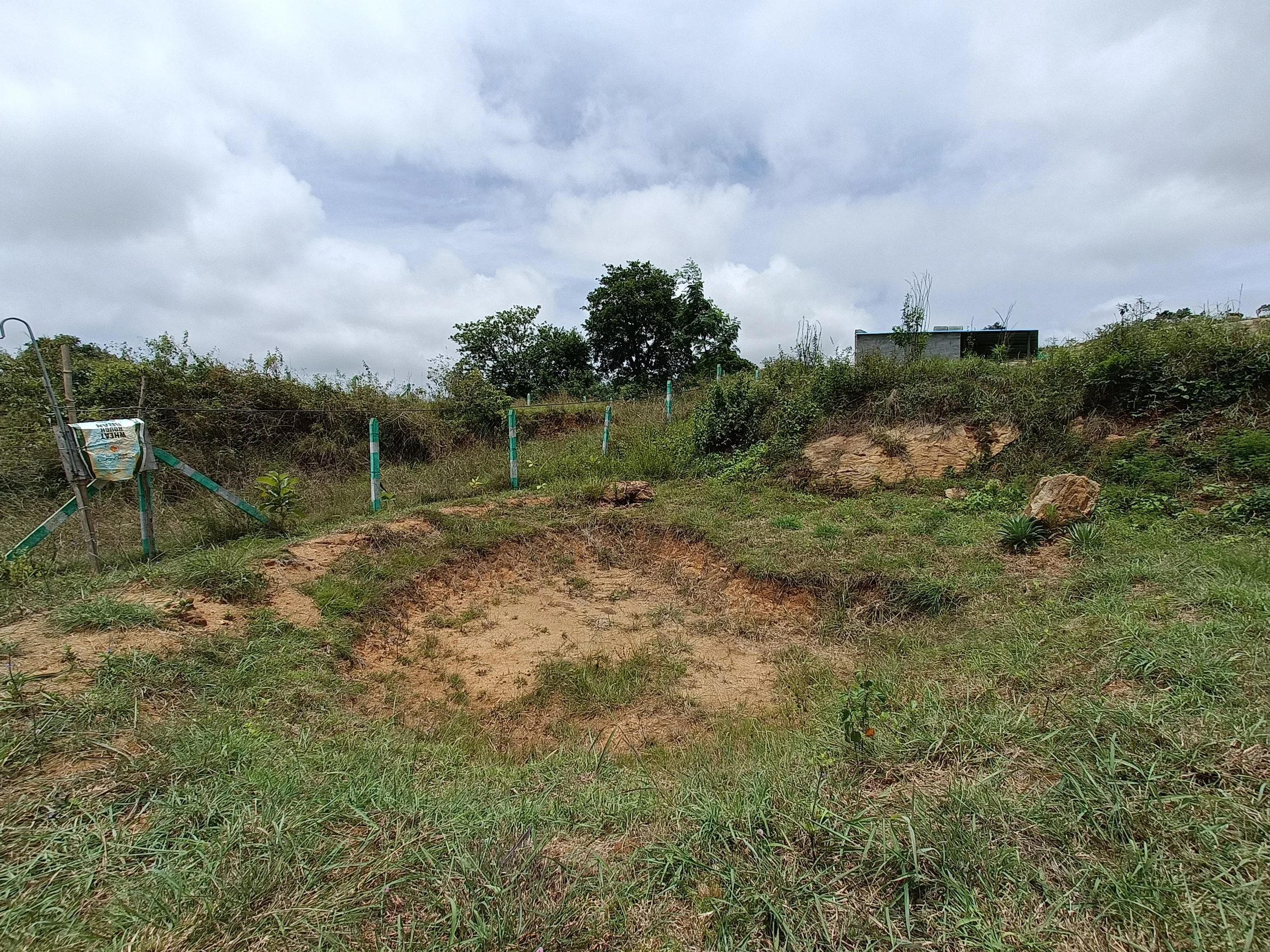 Grassland basin 2 years post implementation
