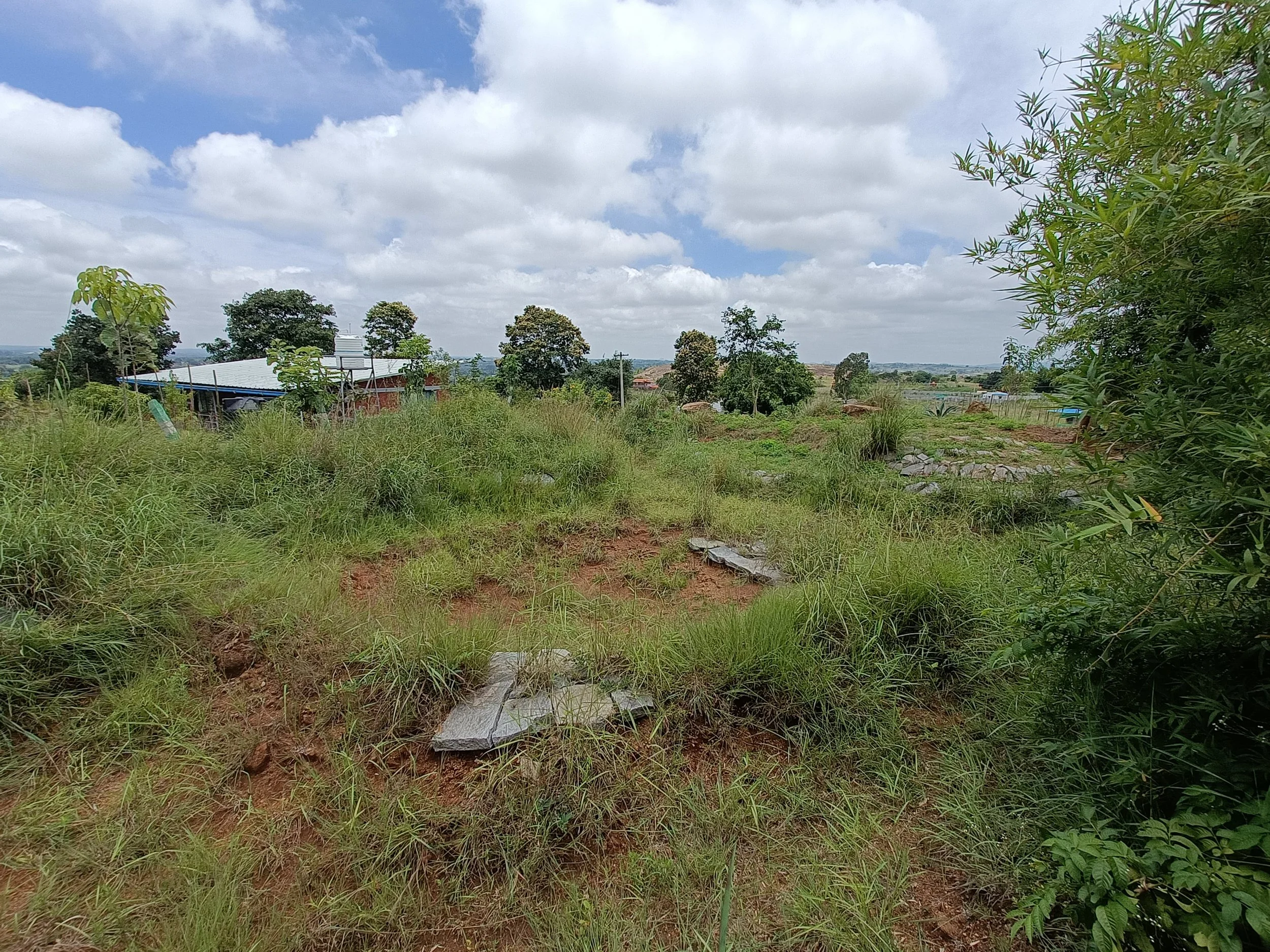 Pond 2B - two years post implementation