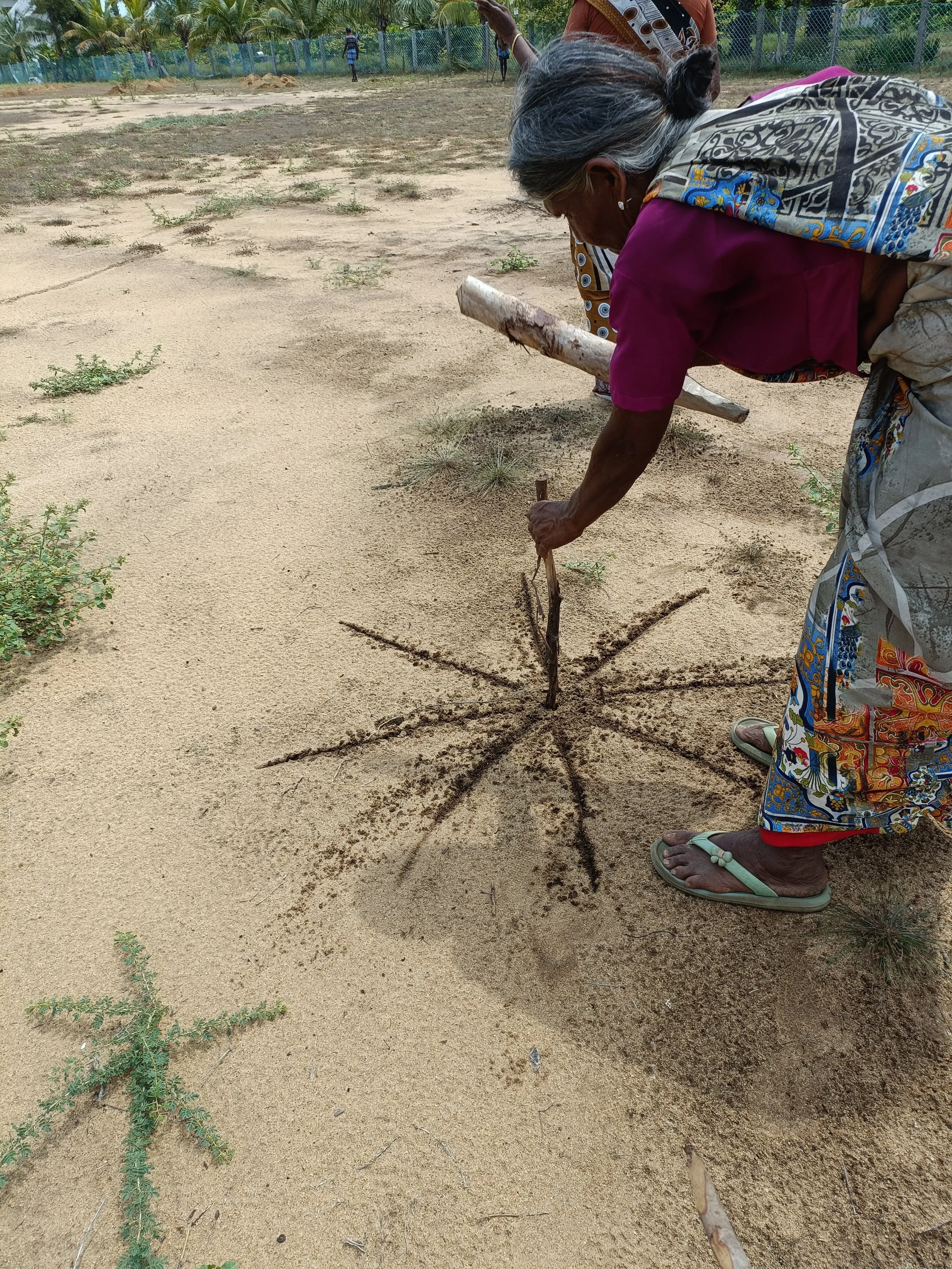 Marking sapling locations