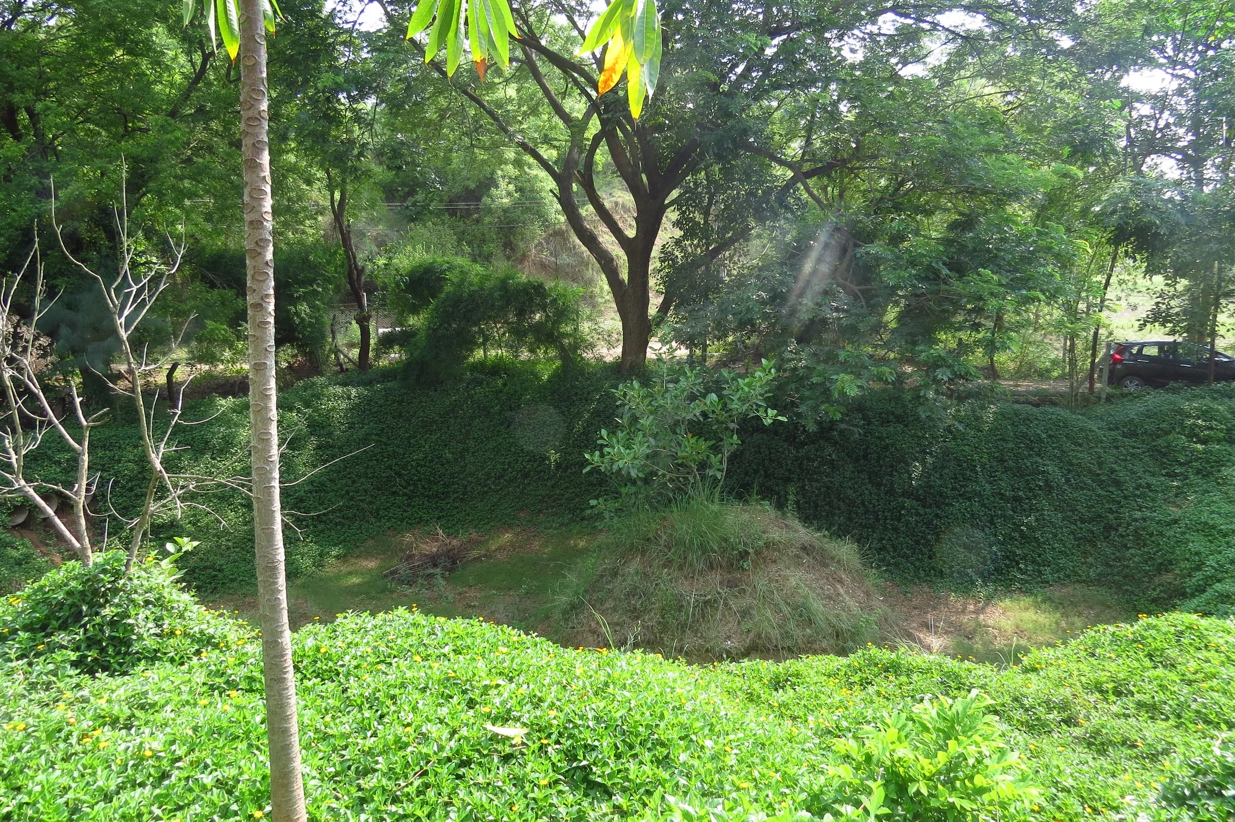 Existing pond on site