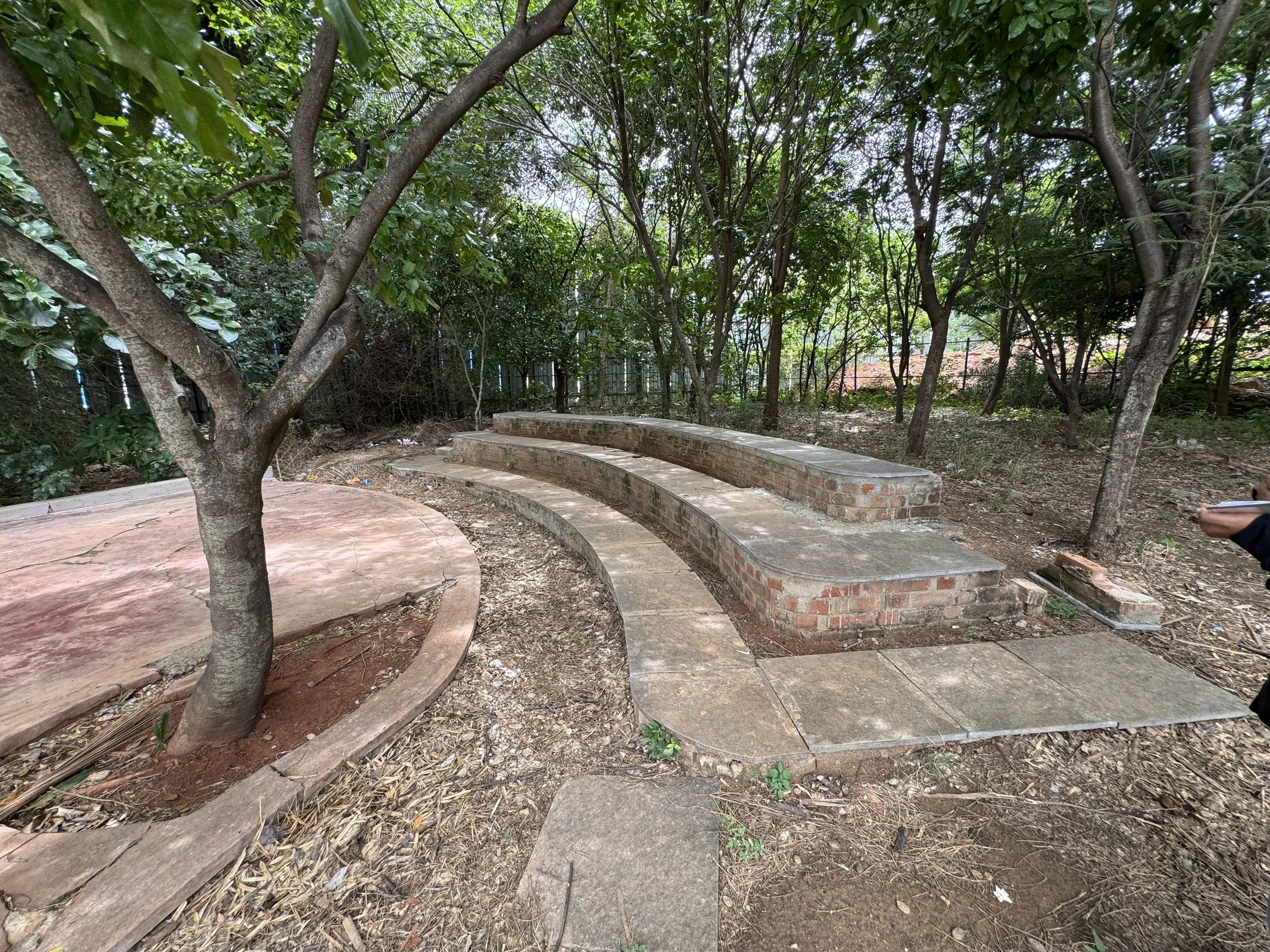 5 years post-construction [photo by Kiri Meili]