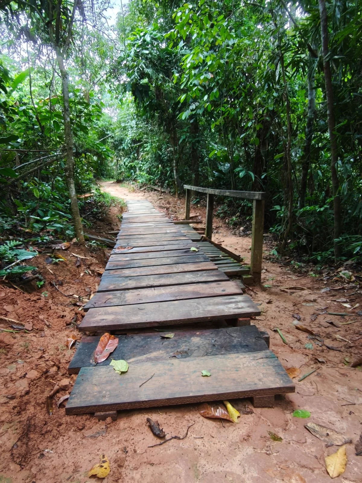 Tampopata-Dschungellodge