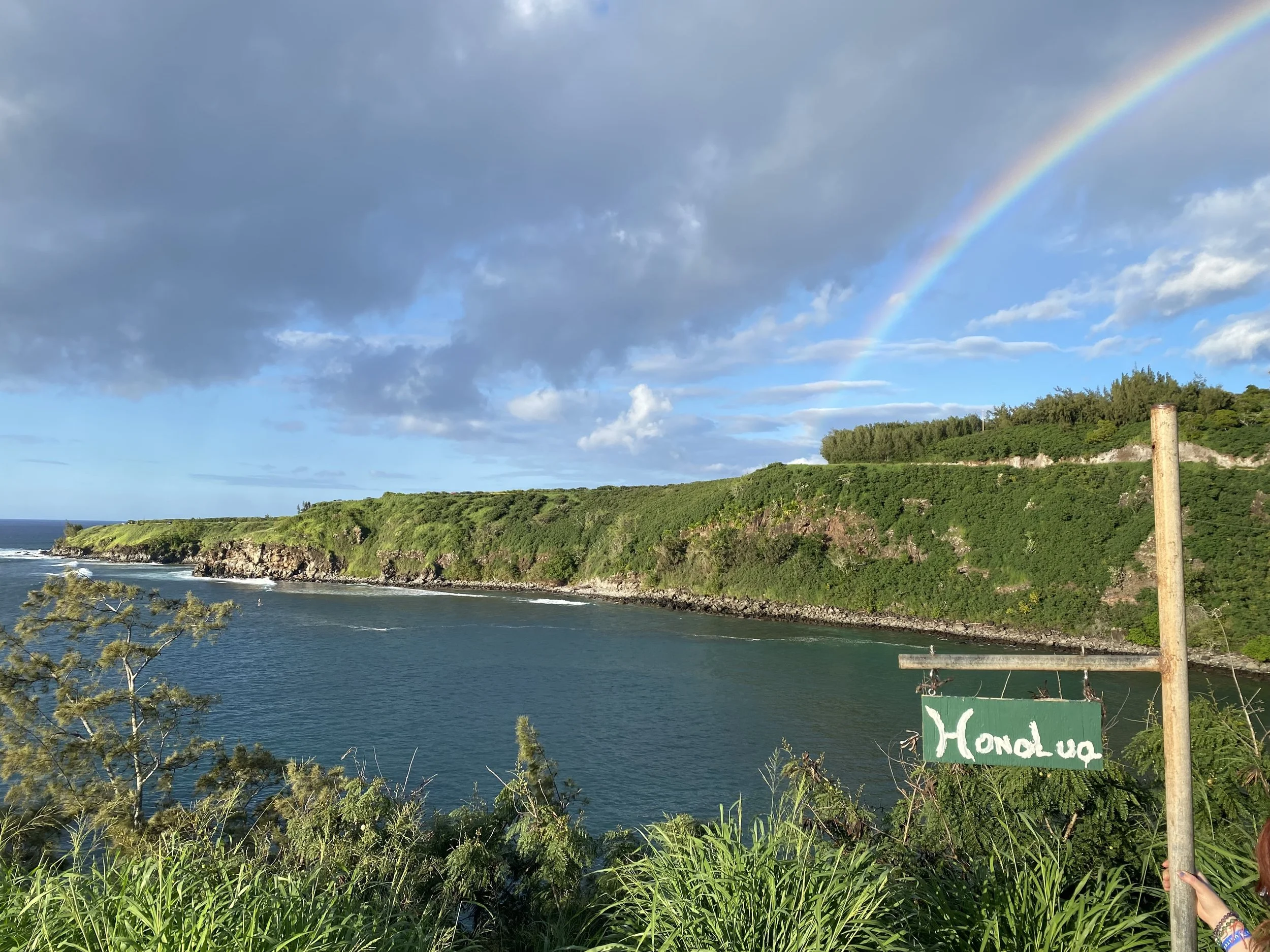 Honolua Bay Needs Real Protection