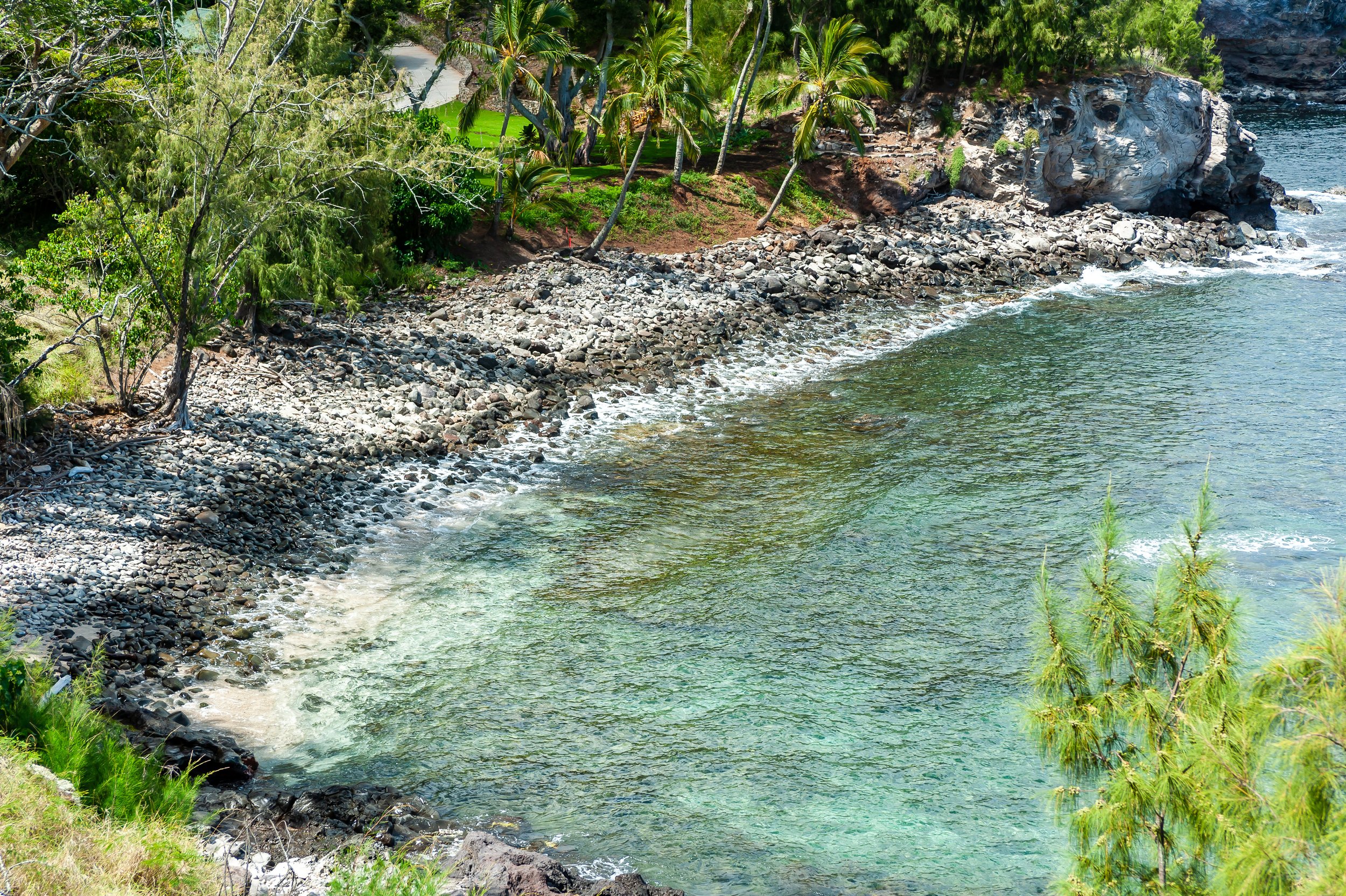 Nearly $10k for Save Honolua