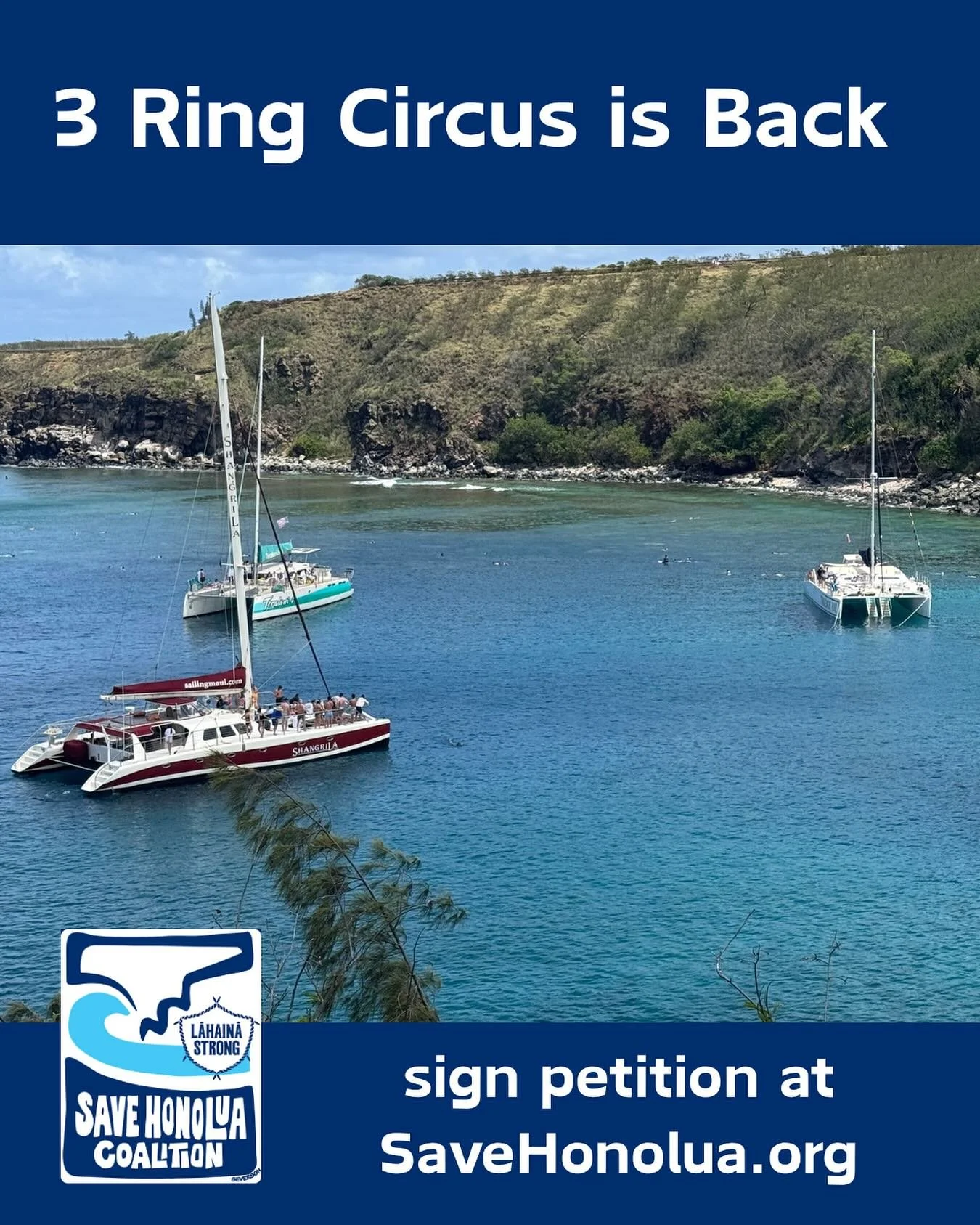 The industry recently repaired the third mooring after the Hula Girl grounding, and now the commercial industry is back in full swing for summer.

Many people believe Honolua is a preserve&mdash;but it&rsquo;s not. If it were, regulations would limit