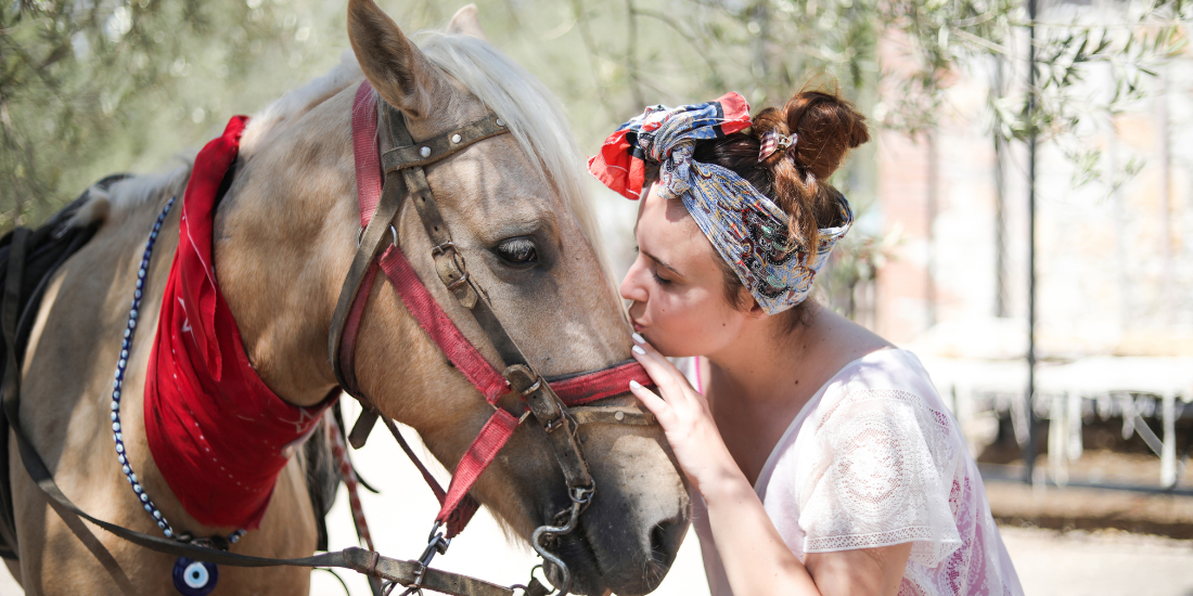 Violet Studios: Free Creative Support for Animal Advocates