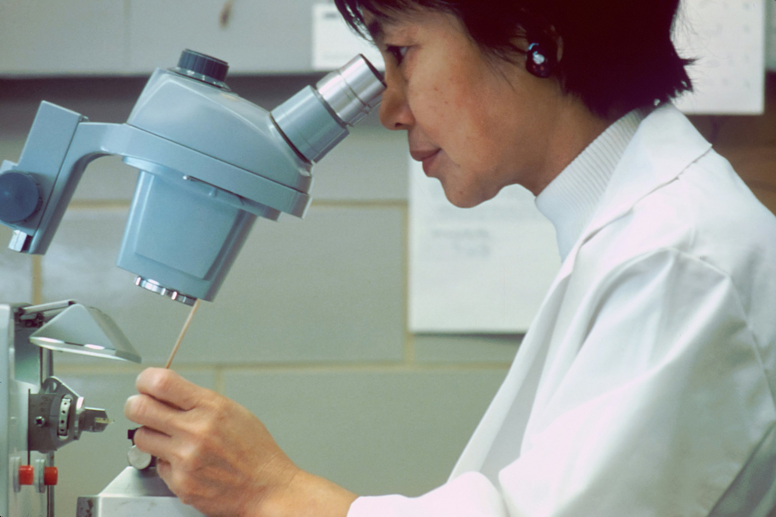 Faunalytics: Research and Evidence for More Effective Advocacy