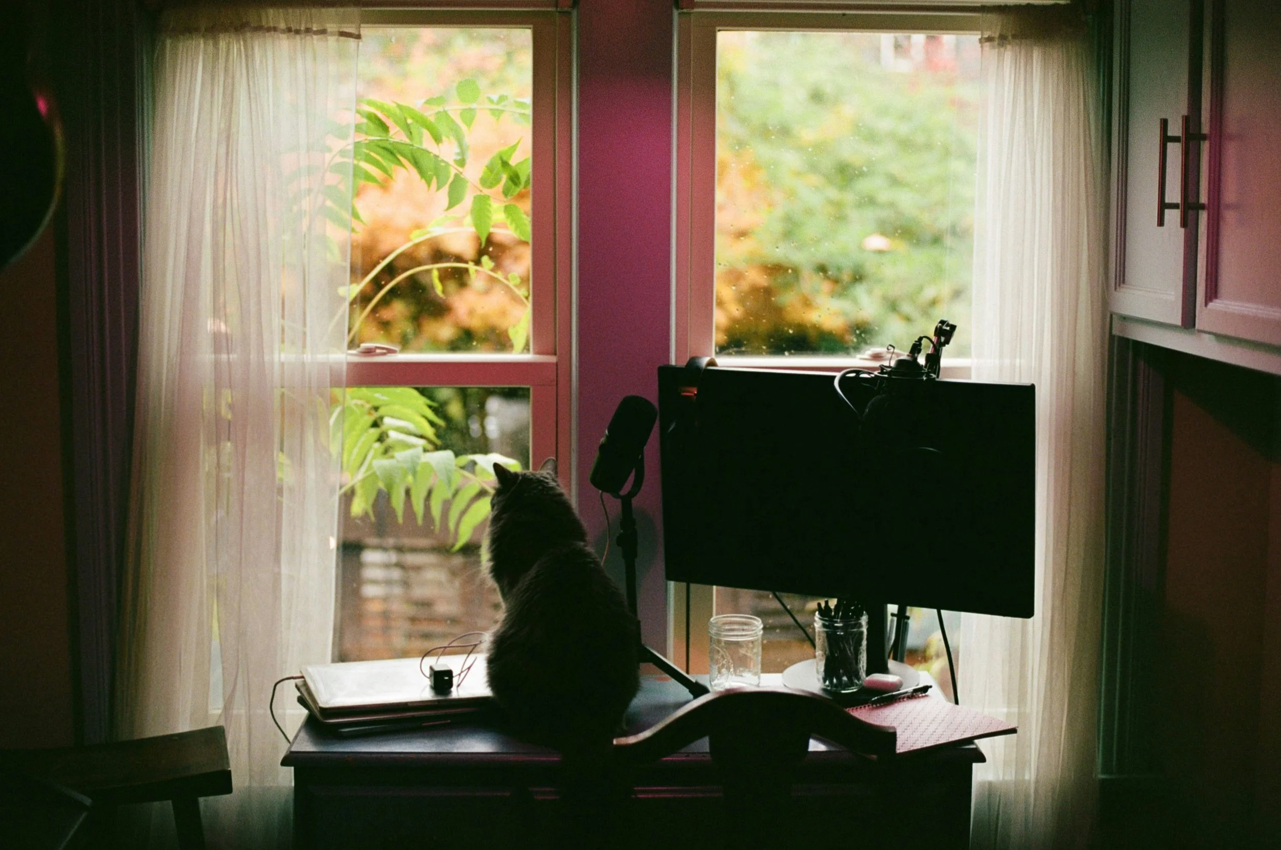 A domestic scene seen through a window with white curtains, showing a desk with a cat, a microphone, a computer monitor, a jar, and various stationery items inside a room with kitchen cabinets.