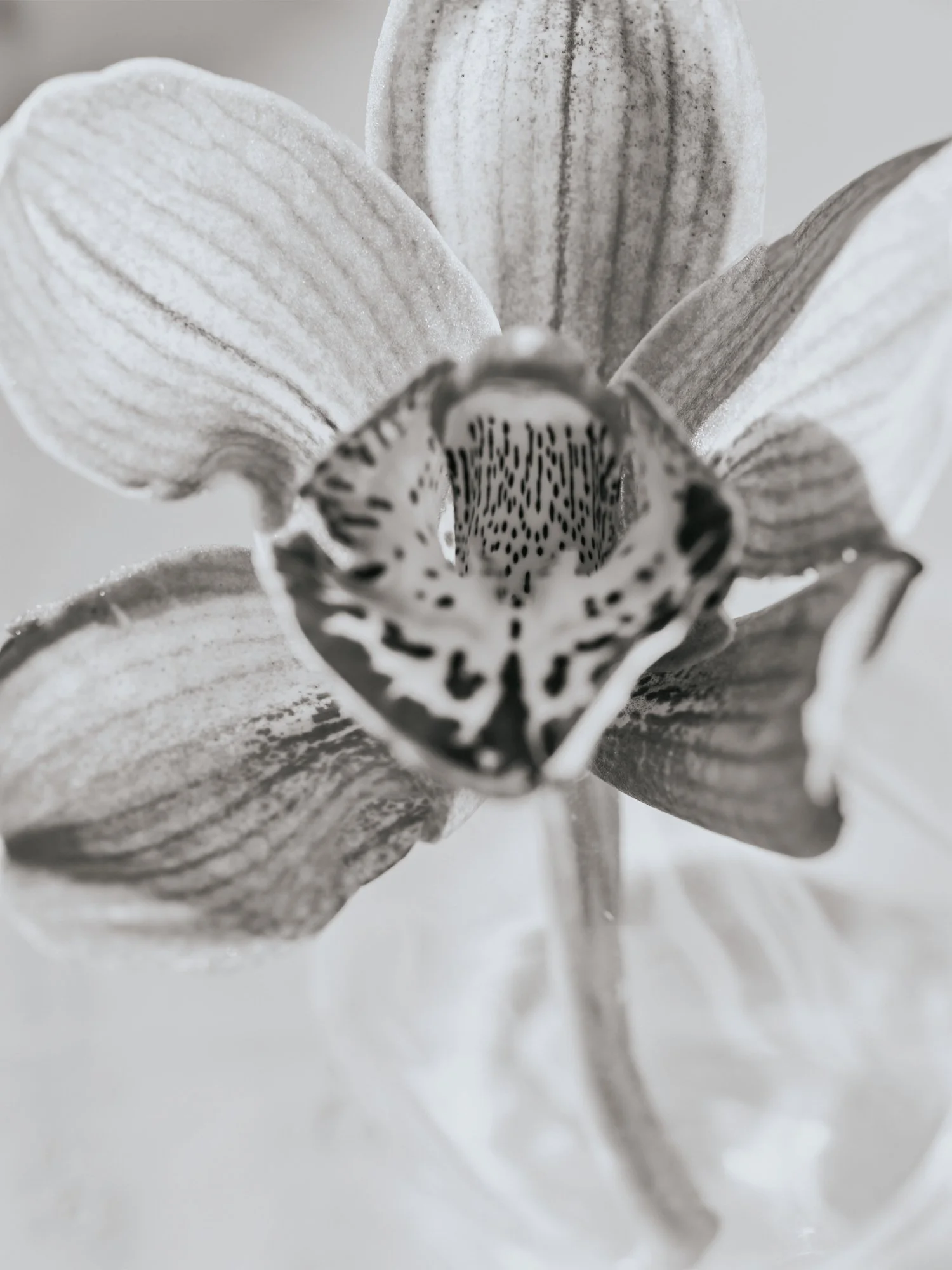 _DSF0892.jpg
