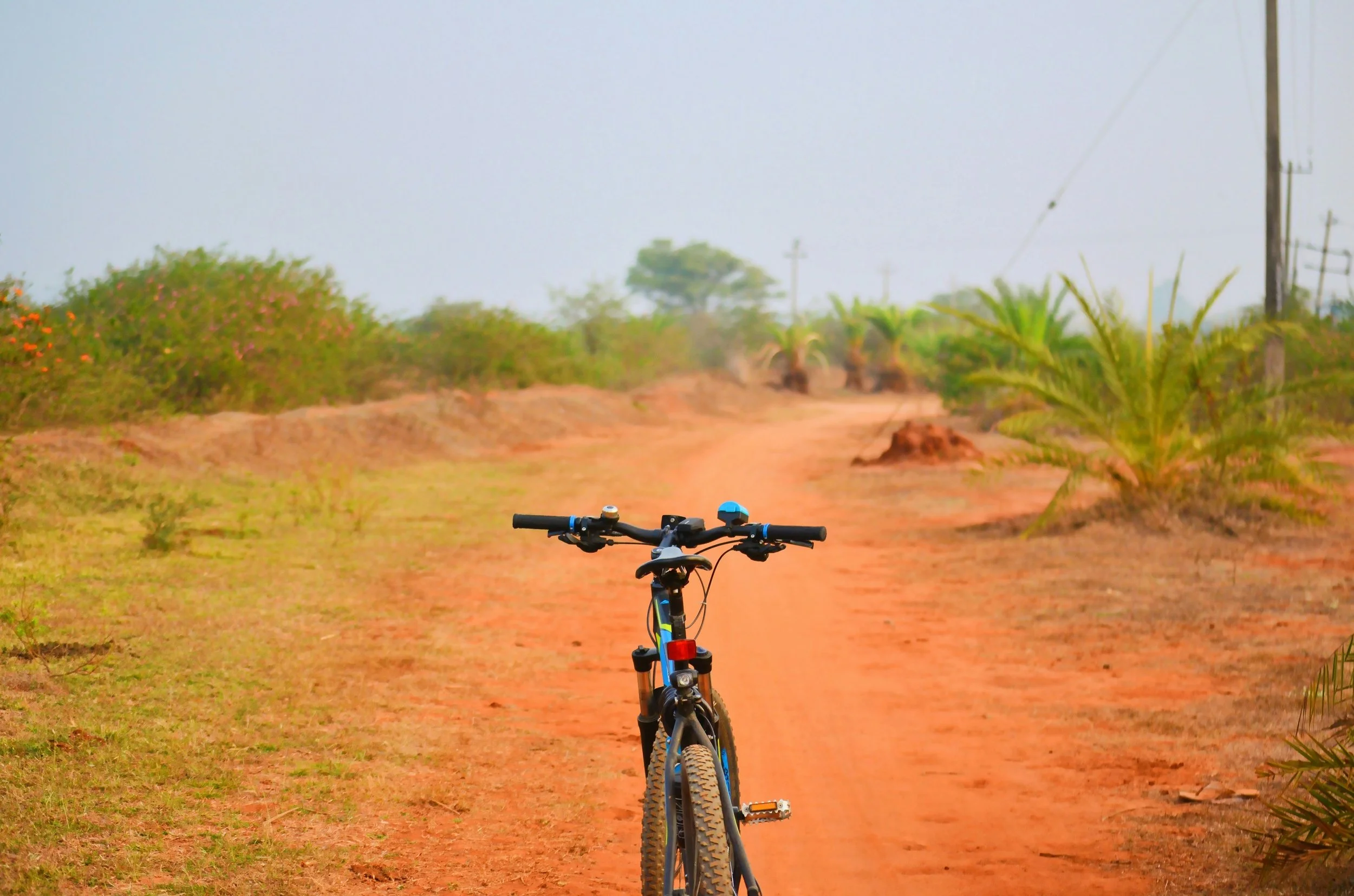 A mountain bike on a dirt trail in a semi-arid landscape with sparse vegetation and palm trees, under a cloudy sky.