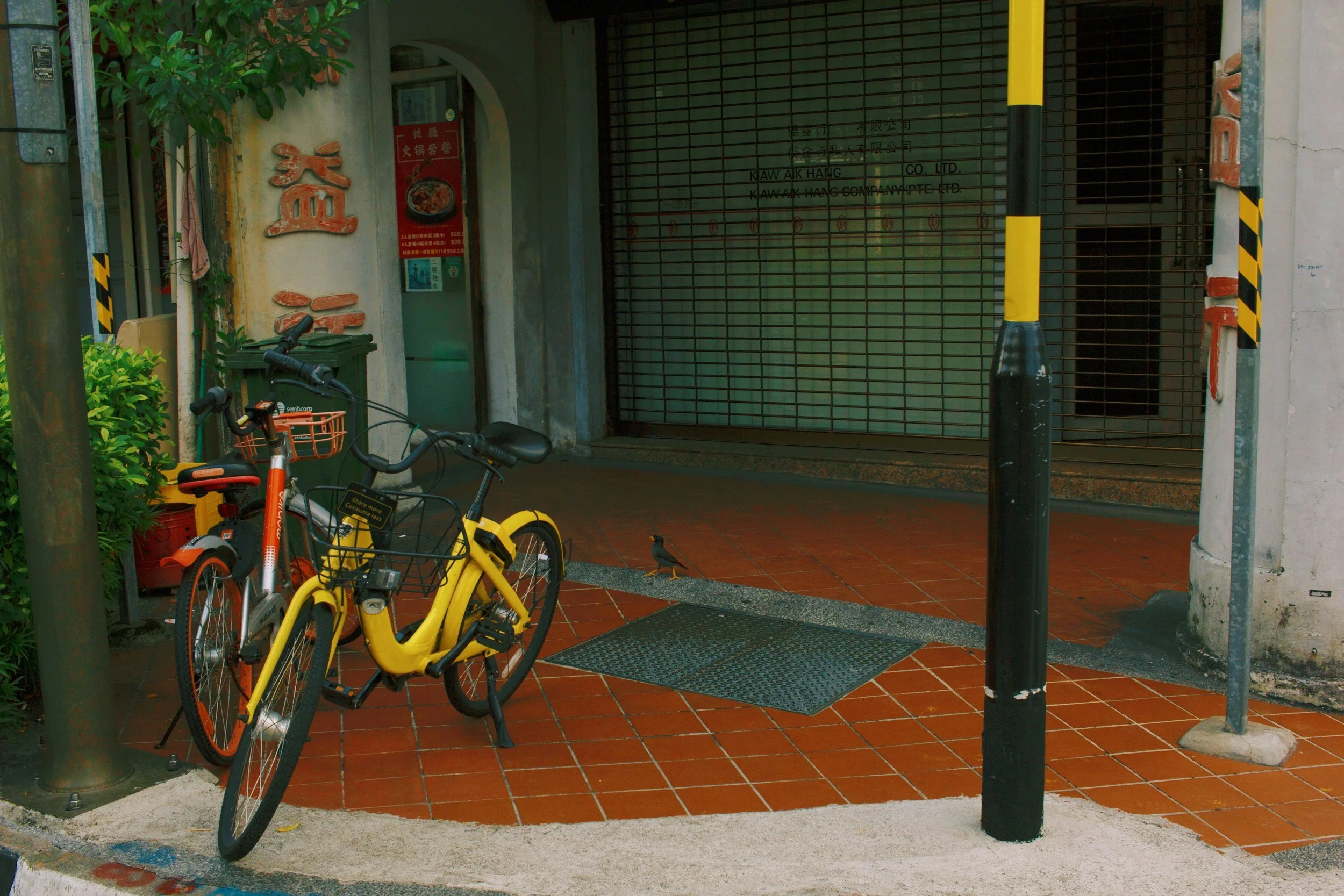 Two bicycles, one orange and one yellow, parked on a brick sidewalk near a small tree and a building entrance. There is a small black bird on the sidewalk near the bicycles. A security gate is closed in the background.
