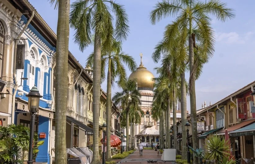 Street lined with tall palm trees, historic buildings with colorful facades, and a large golden-domed mosque in the background.