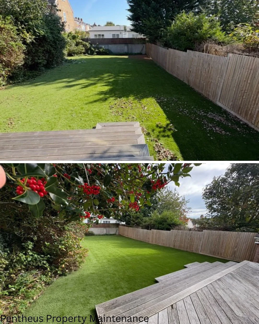 Comparison of a backyard yard before and after lawn renovation. The top image shows a patchy, uneven grass area with shadows, while the bottom image displays a lush, uniformly green lawn with a wooden deck in the foreground and trees with red berries and green foliage.