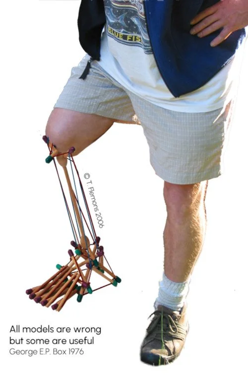 All models are wrong but some are useful. A lower limb amputee with a simplified prosthetic contraption from the knee. The model shows how the lower limb works. Copyright T. Flemons 2006