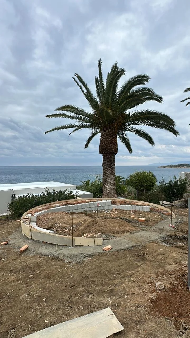 Construction site with a palm tree and a view of the ocean in the background, showing a curved foundation outline and building materials.