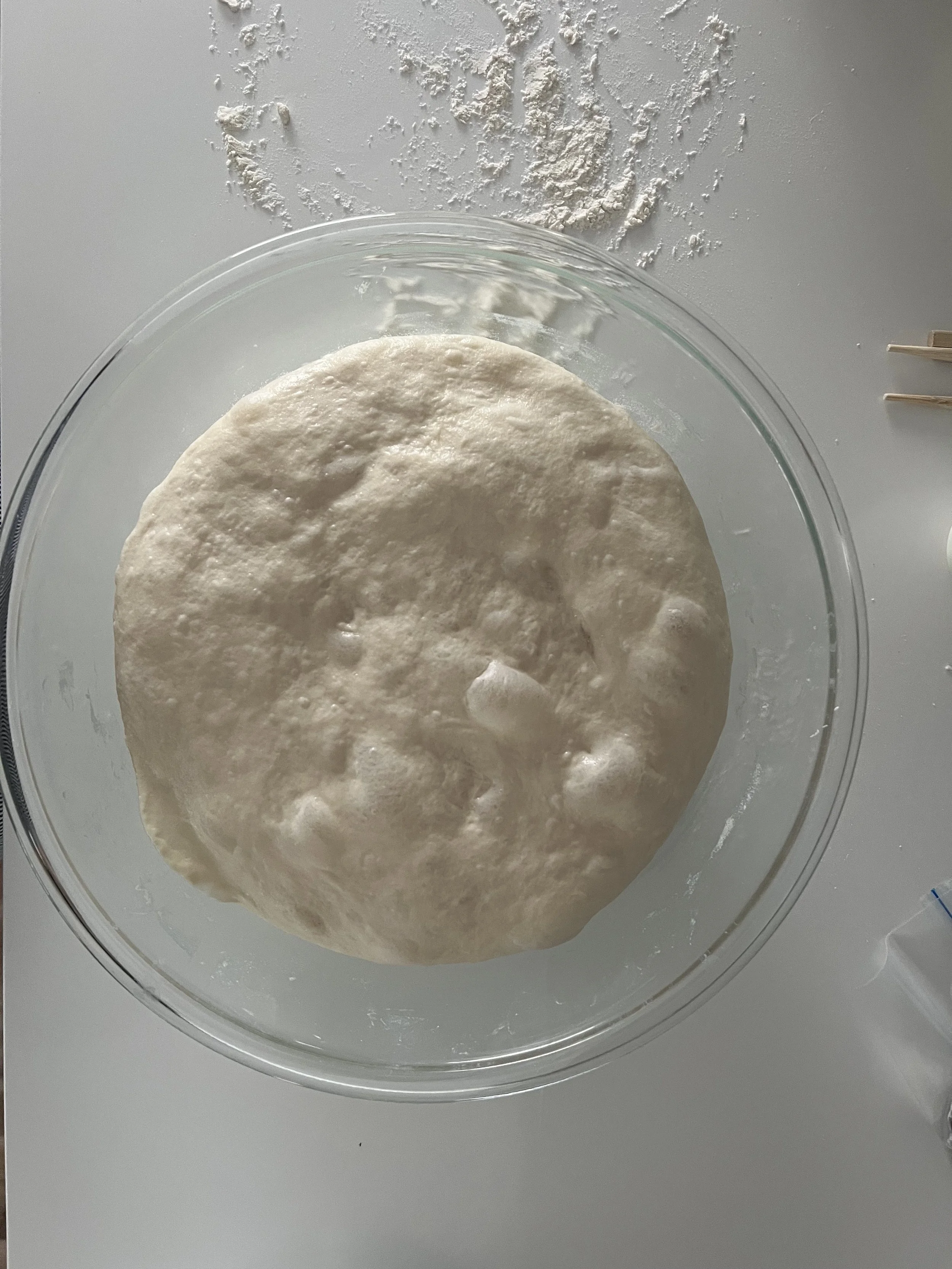 Sourdough Dough