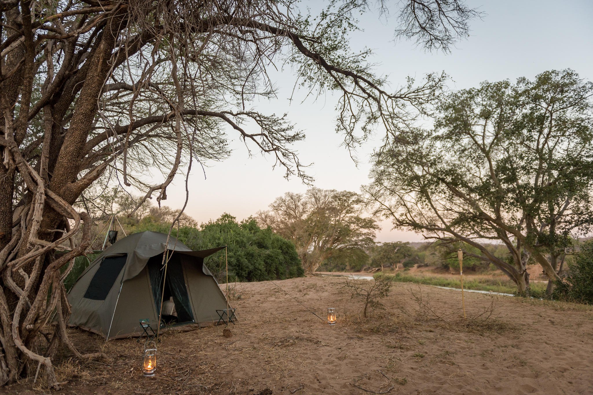 Tente de camping sous un arbre dans un paysage désertique au crépuscule, avec des lanternes au sol.